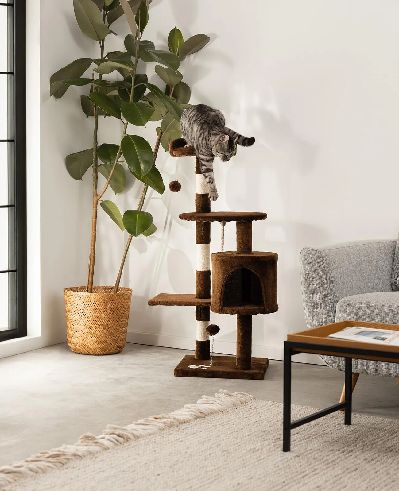 lionto Tiragraffi con Grotta e Colonne, 4 Livelli, 112 cm, Marrone - immagine 2