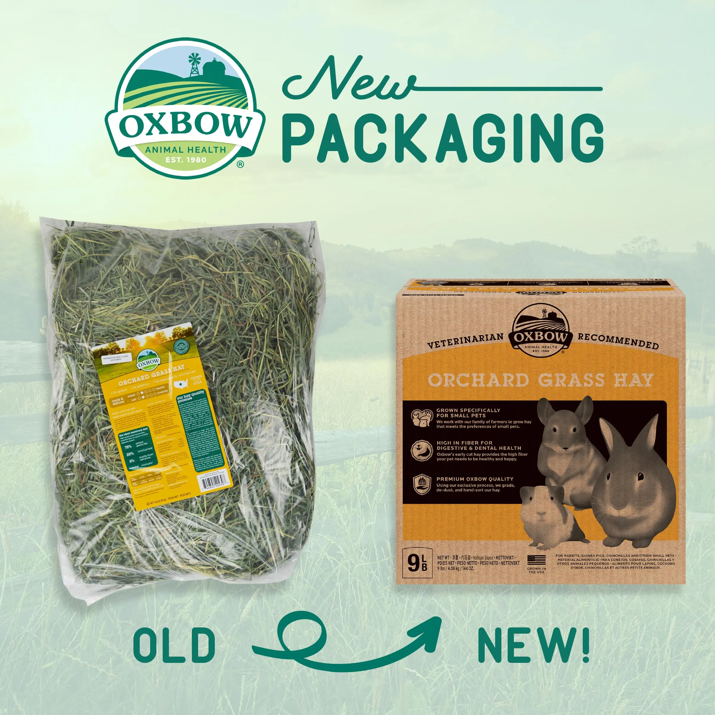 Oxbow Orchard Grass Petlife Fieno per piccoli animali, 4,05 Kg - immagine 3
