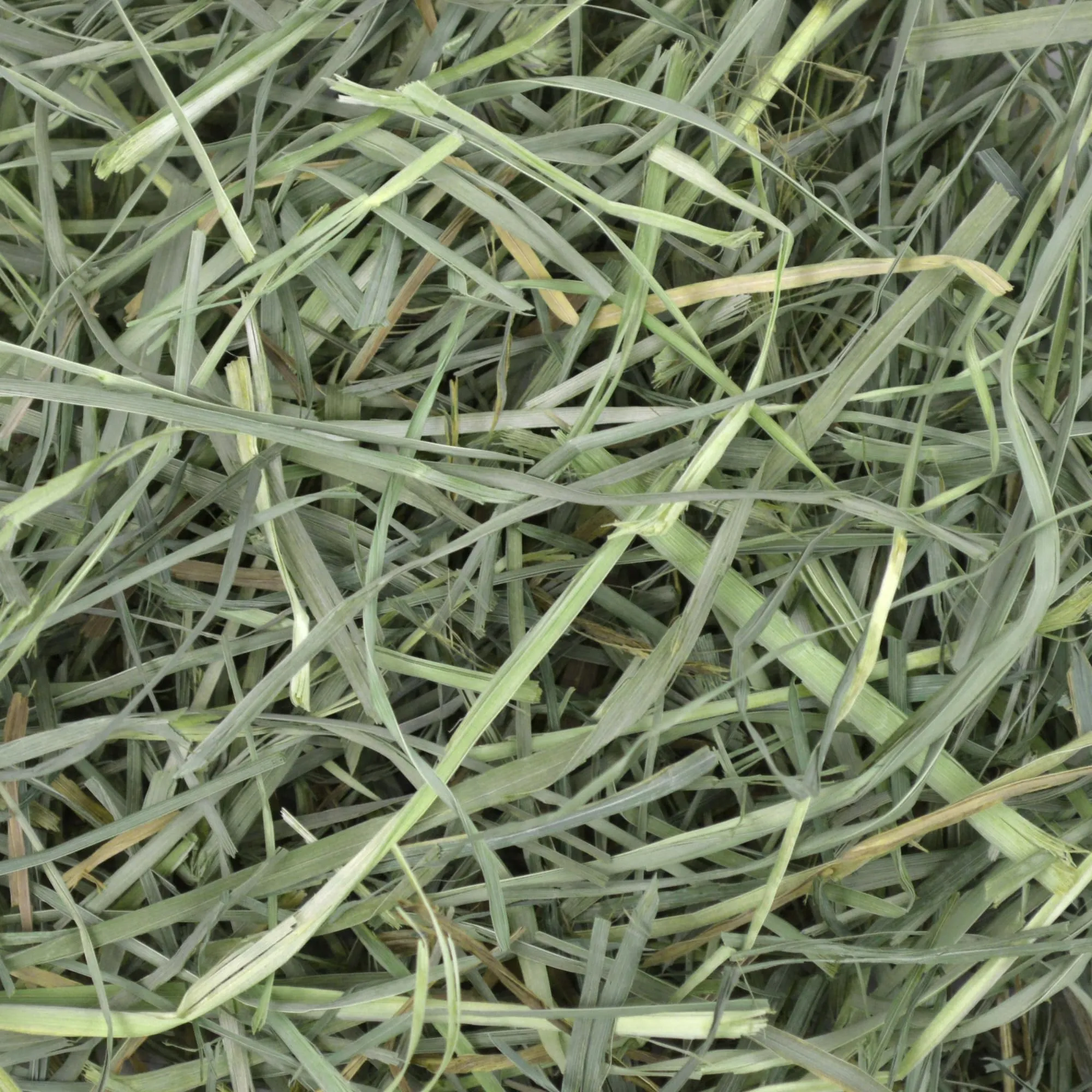 Oxbow Orchard Grass Petlife Fieno per piccoli animali, 4,05 Kg - immagine 6