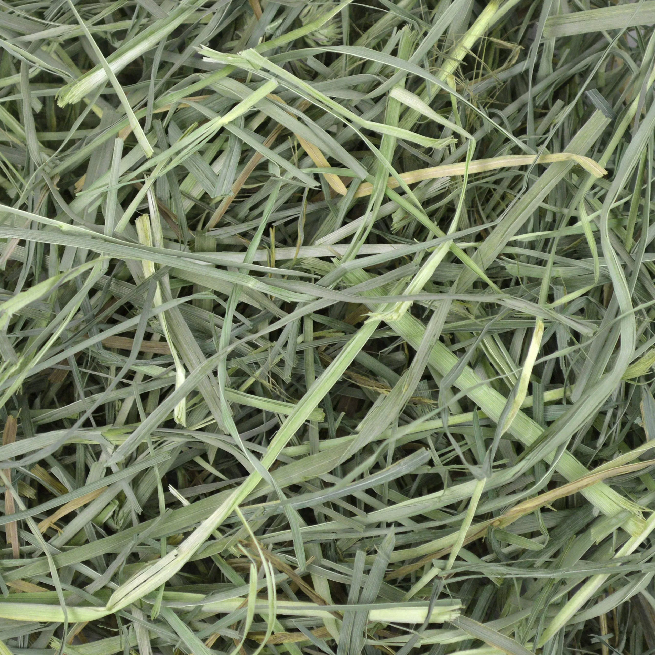 Oxbow Orchard Grass Petlife Fieno per piccoli animali, 4,05 Kg - immagine 15