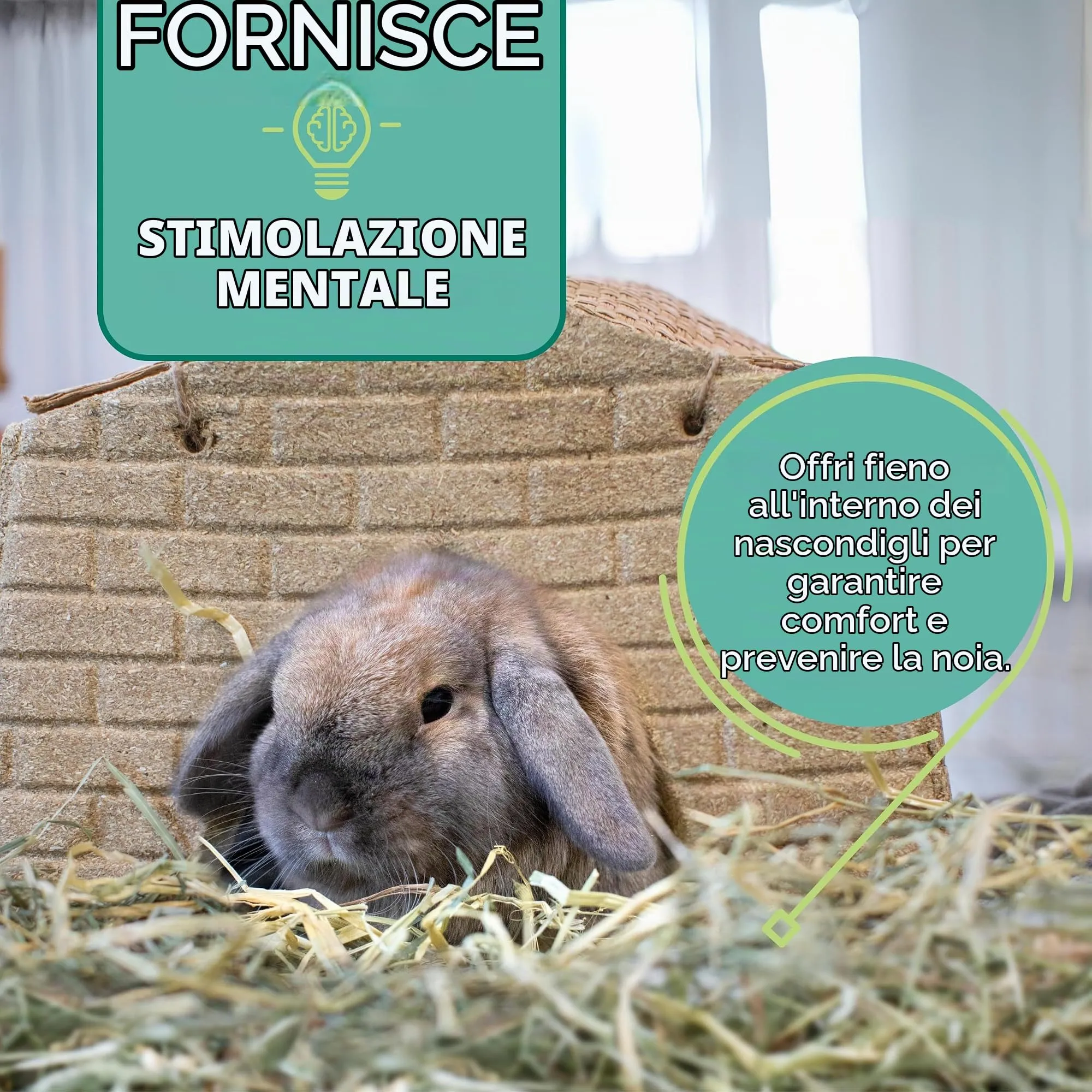 Oxbow Orchard Grass Fieno per piccoli animali, 1130 g - immagine 13