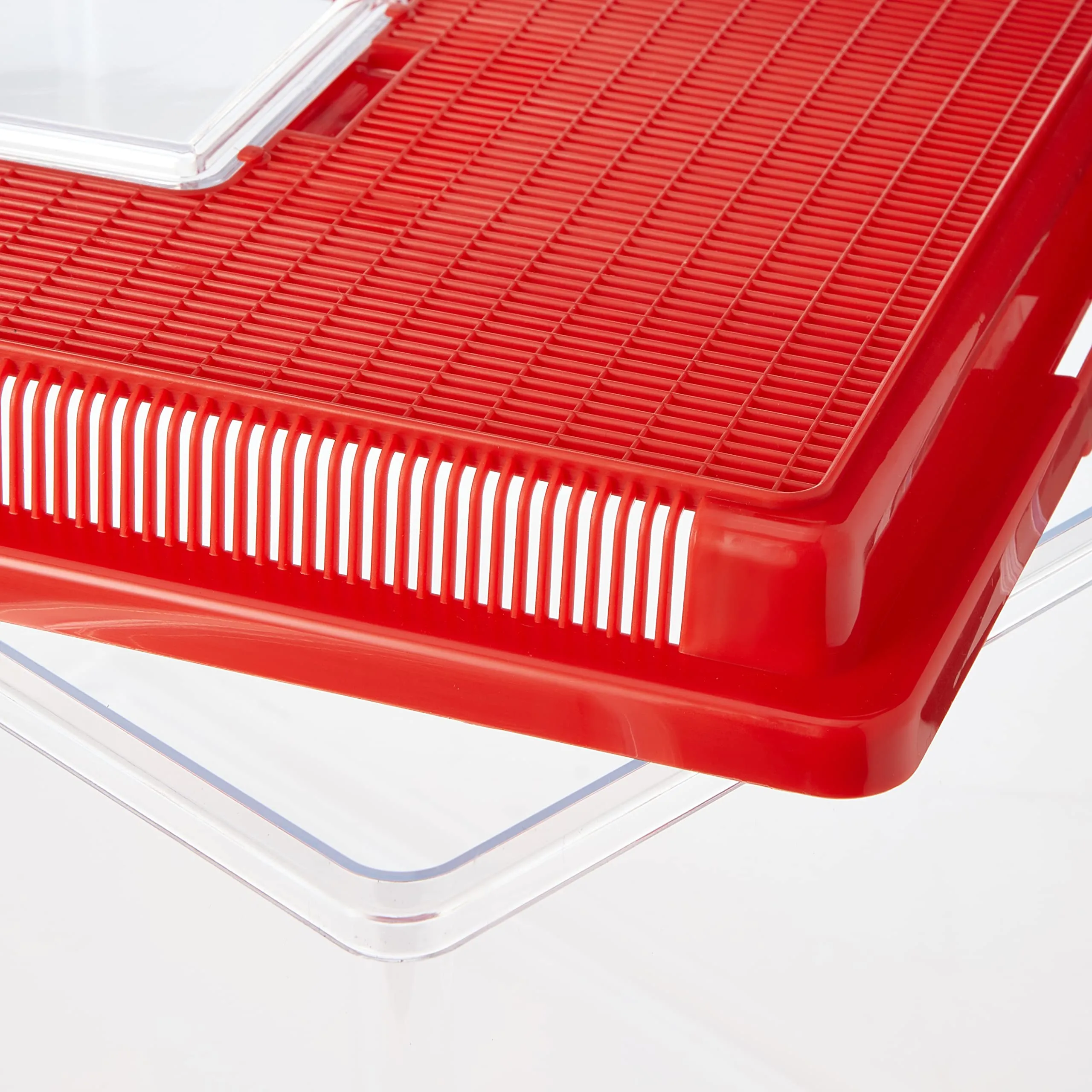 Ferplast Geo Extra Large Contenitore Plastica 11 L, Rosso - immagine 3
