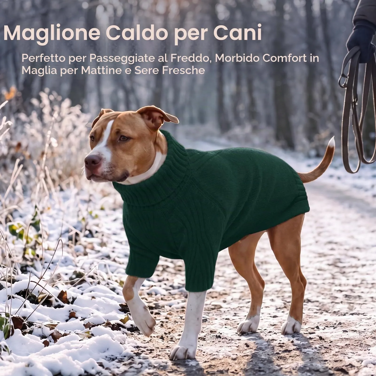IECOii Maglione dolcevita per cani e gatti, invernale caldo per Chihuahua, Bulldog francese, Labrador - immagine 5