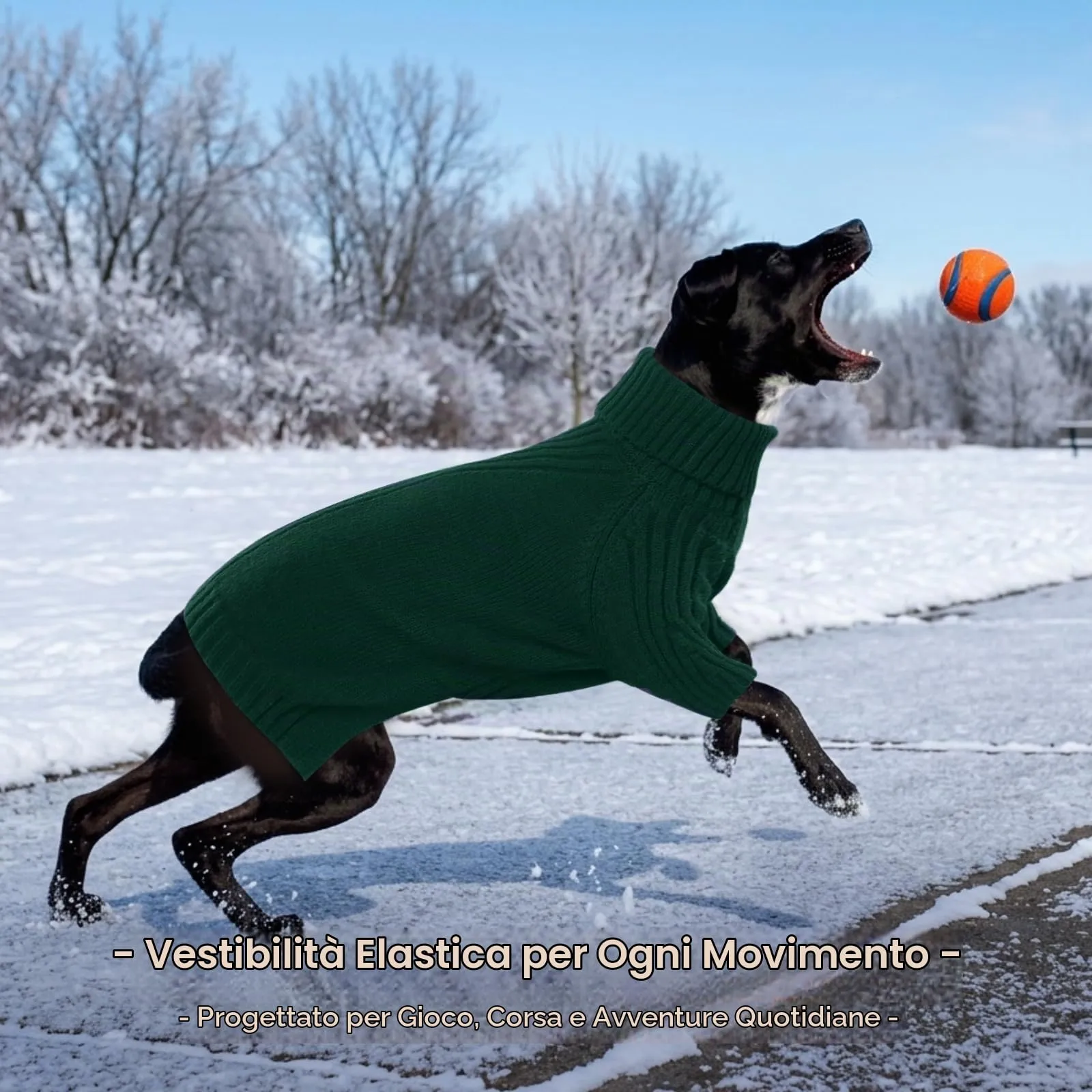 IECOii Maglione dolcevita per cani e gatti, invernale caldo per Chihuahua, Bulldog francese, Labrador - immagine 6