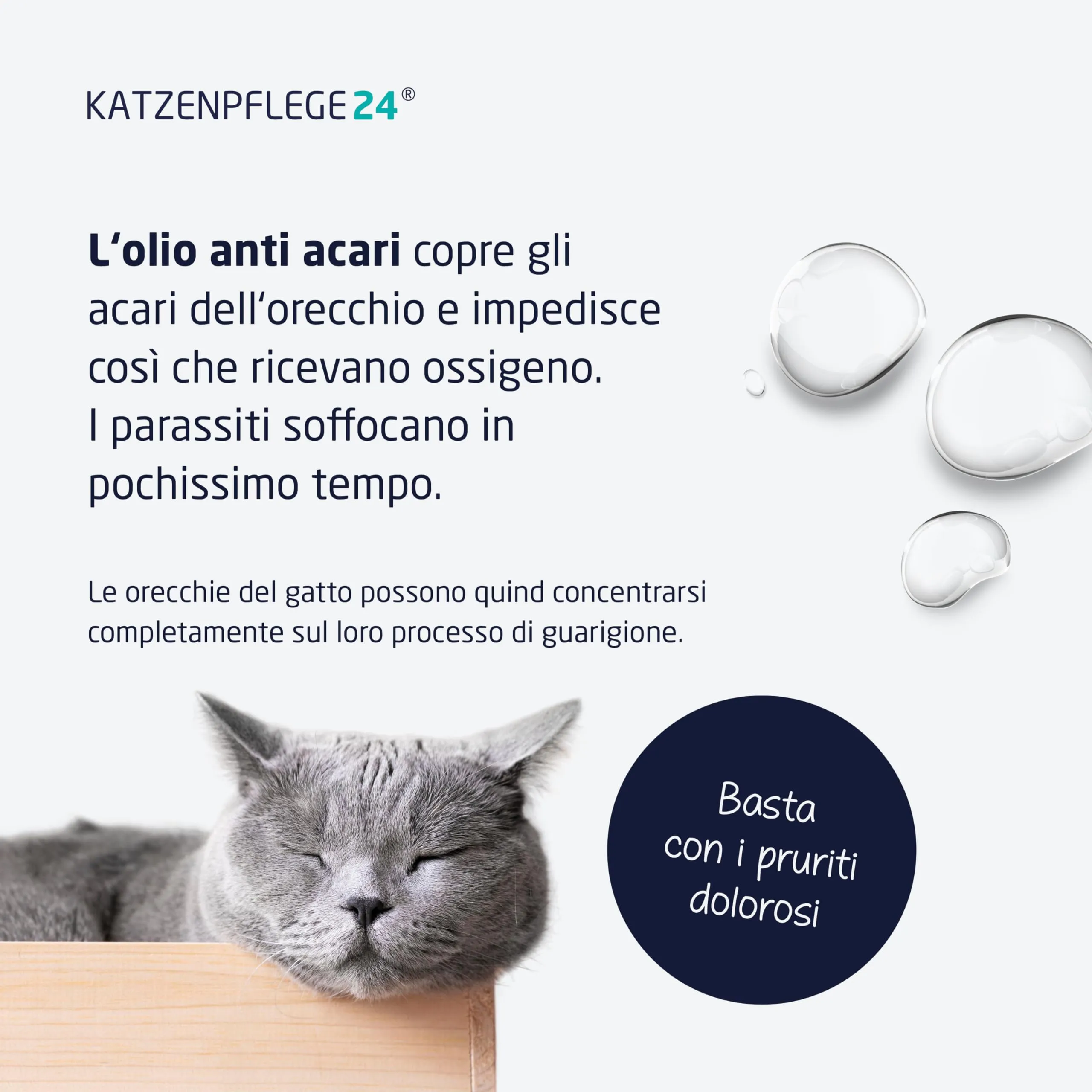 KATZENPFLEGE24 Olio anti acari dell'orecchio per gatti, 50ml - immagine 3