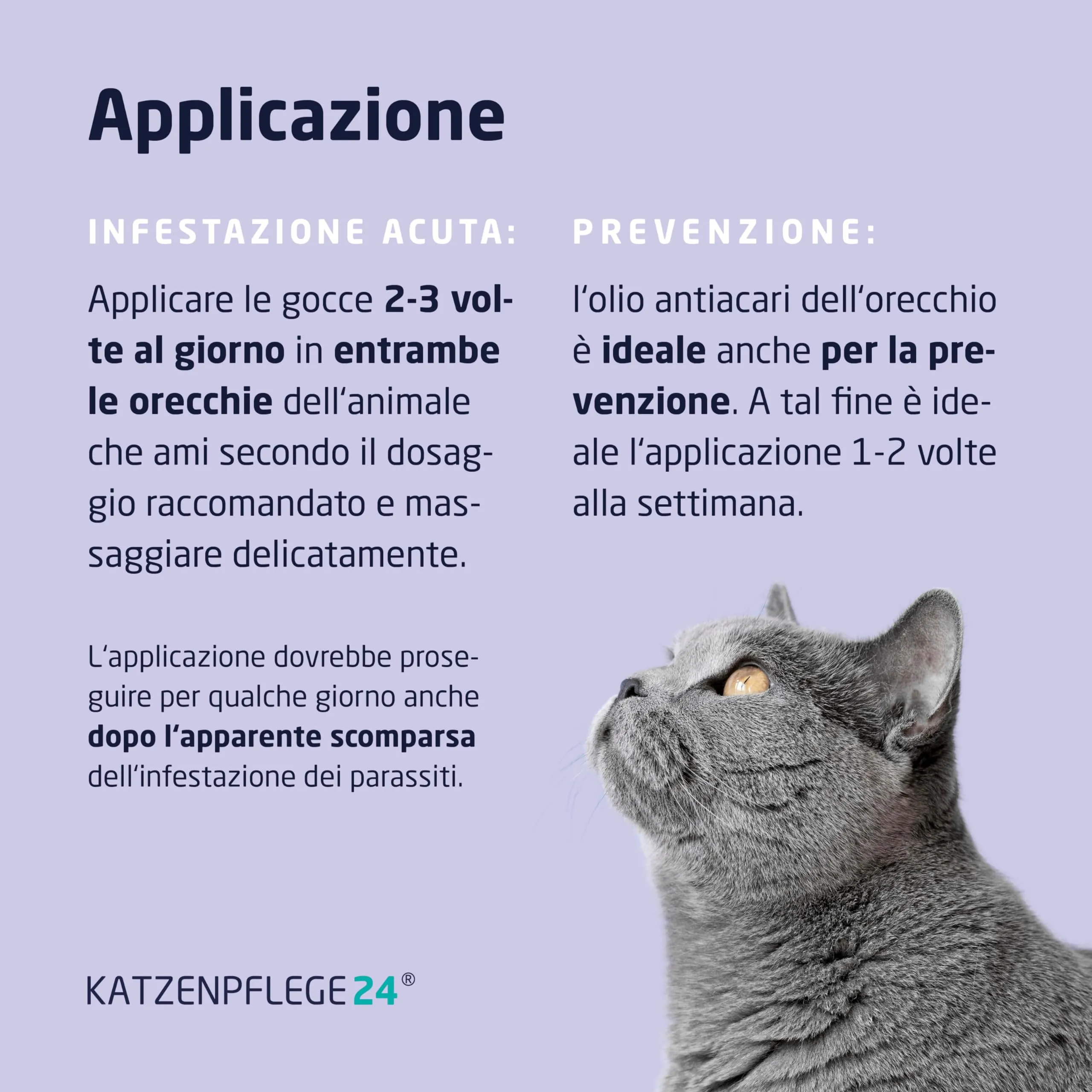 KATZENPFLEGE24 Olio anti acari dell'orecchio per gatti, 50ml - immagine 4