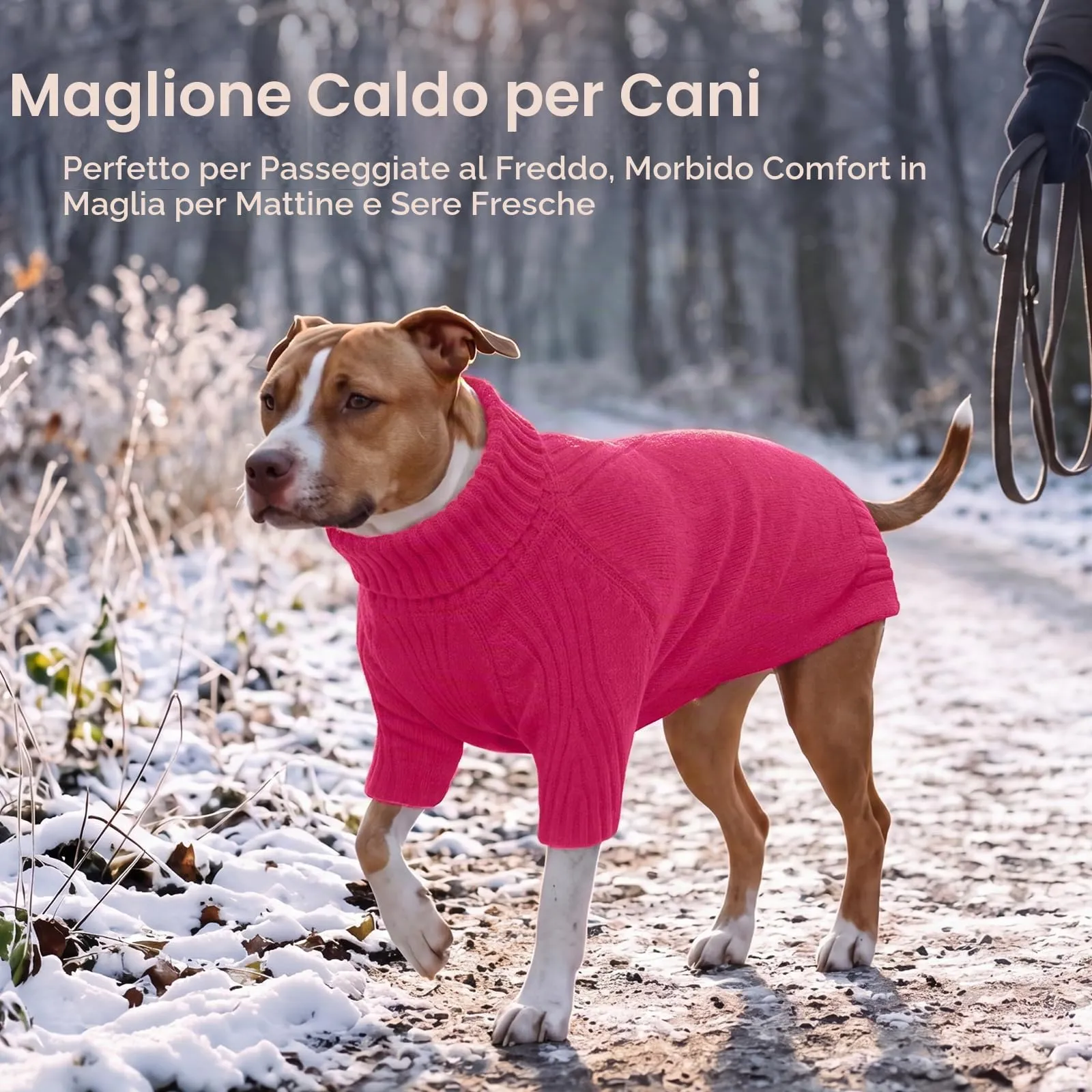 IECOii Maglione dolcevita invernale per cani e gatti - immagine 5