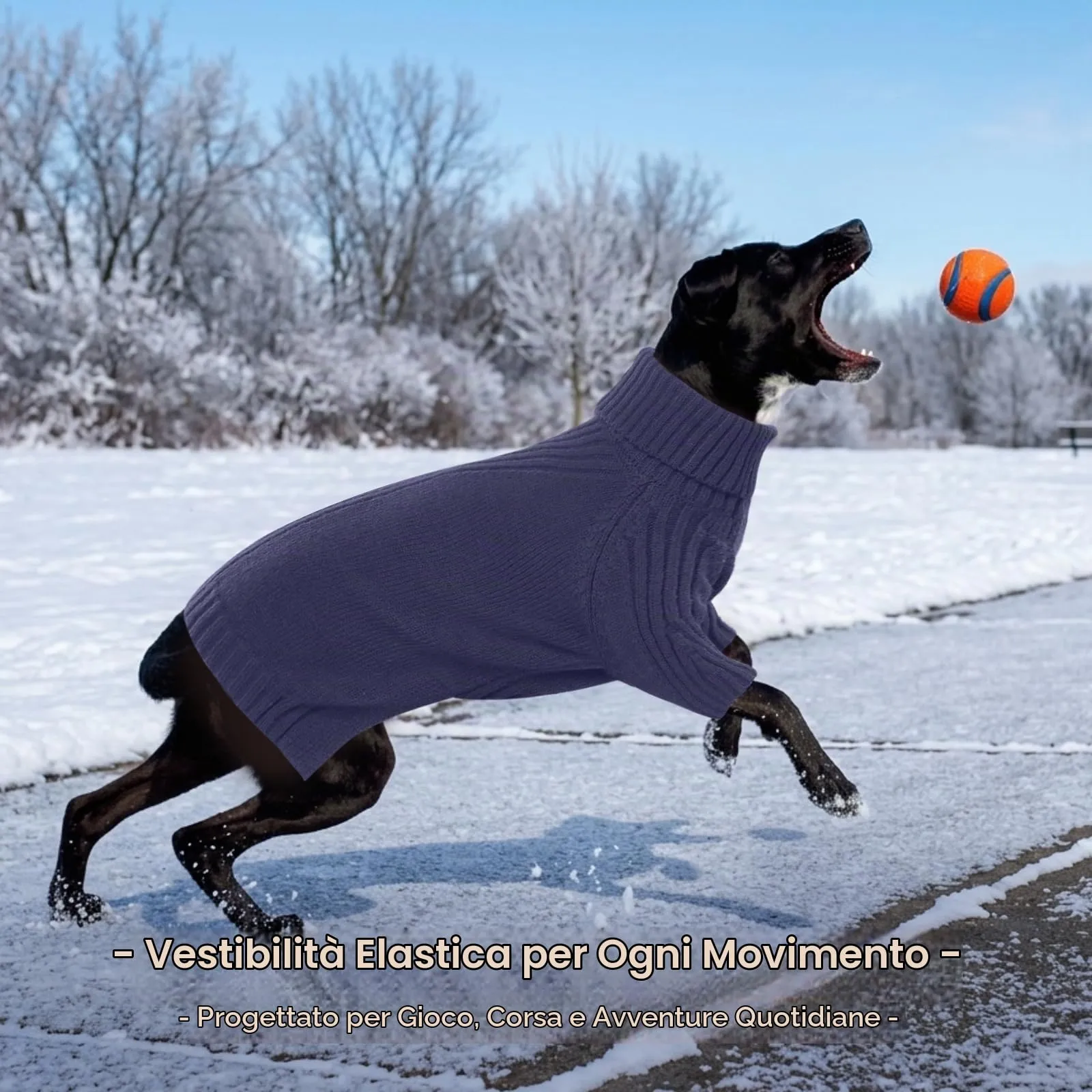 IECOii Maglione dolcevita per cani e gatti, invernale caldo per taglie piccole medie e grandi, Blu - immagine 6
