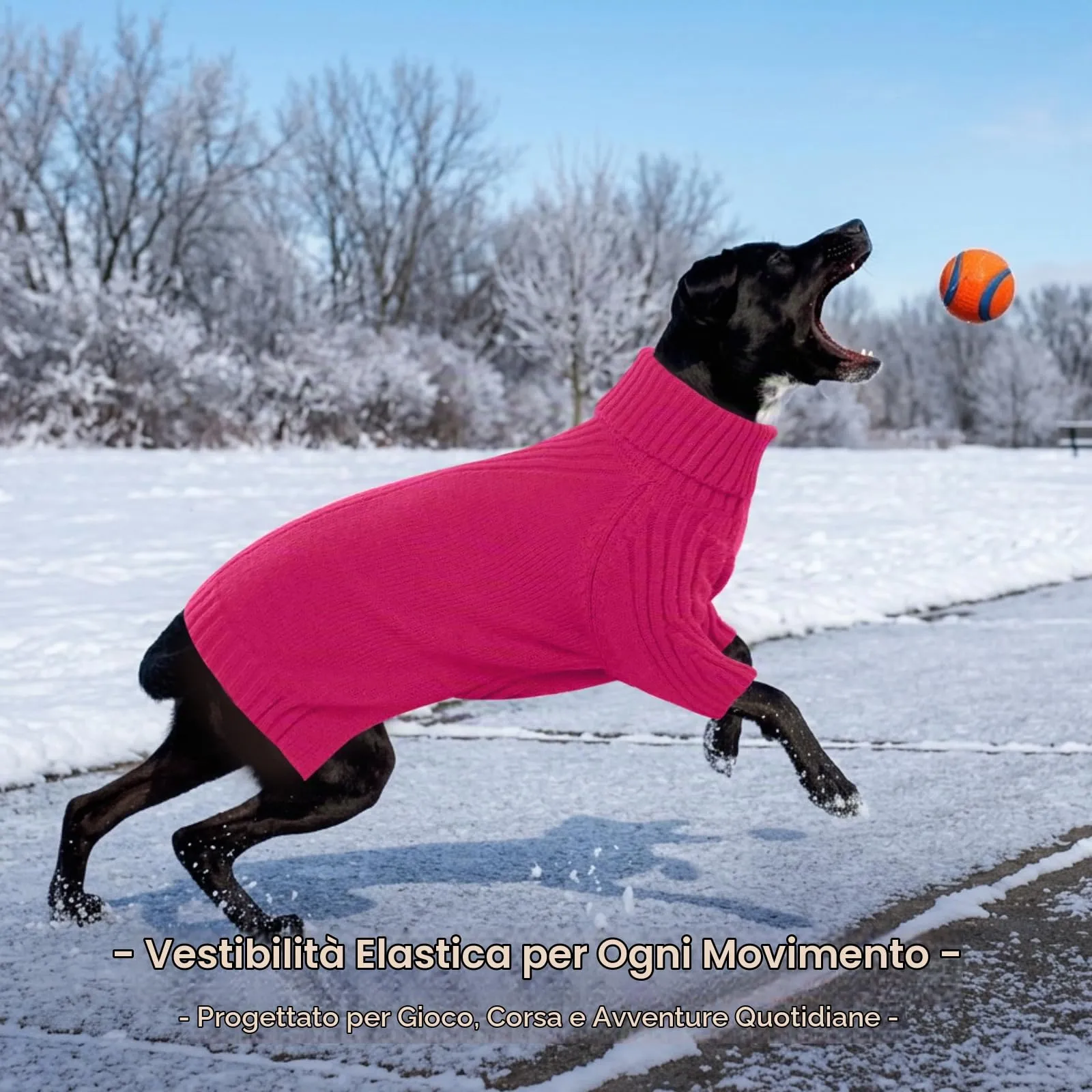 IECOii Maglione dolcevita invernale per cani e gatti - immagine 6