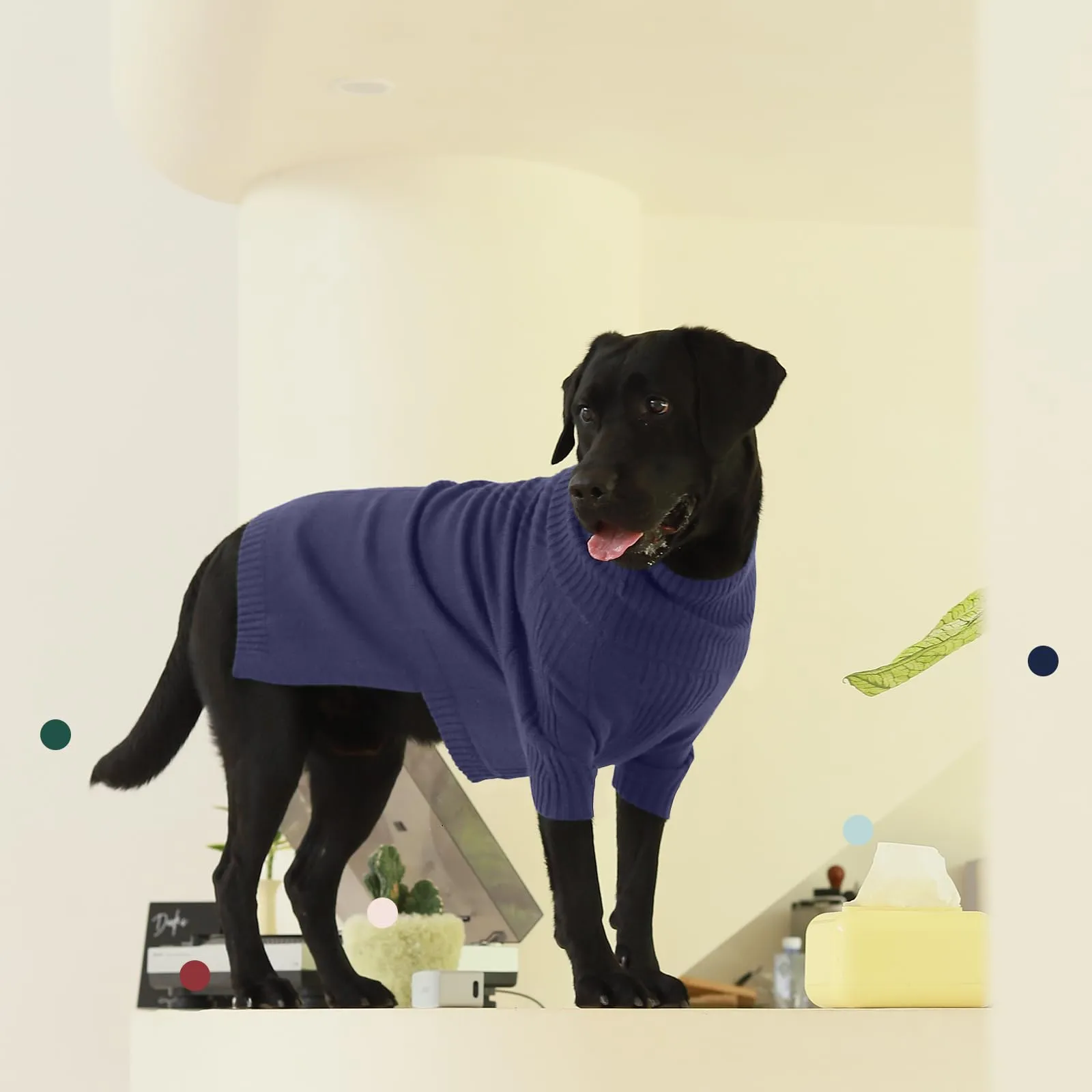 IECOii Maglione dolcevita invernale per cani e gatti, taglia XS, Blu - immagine 7