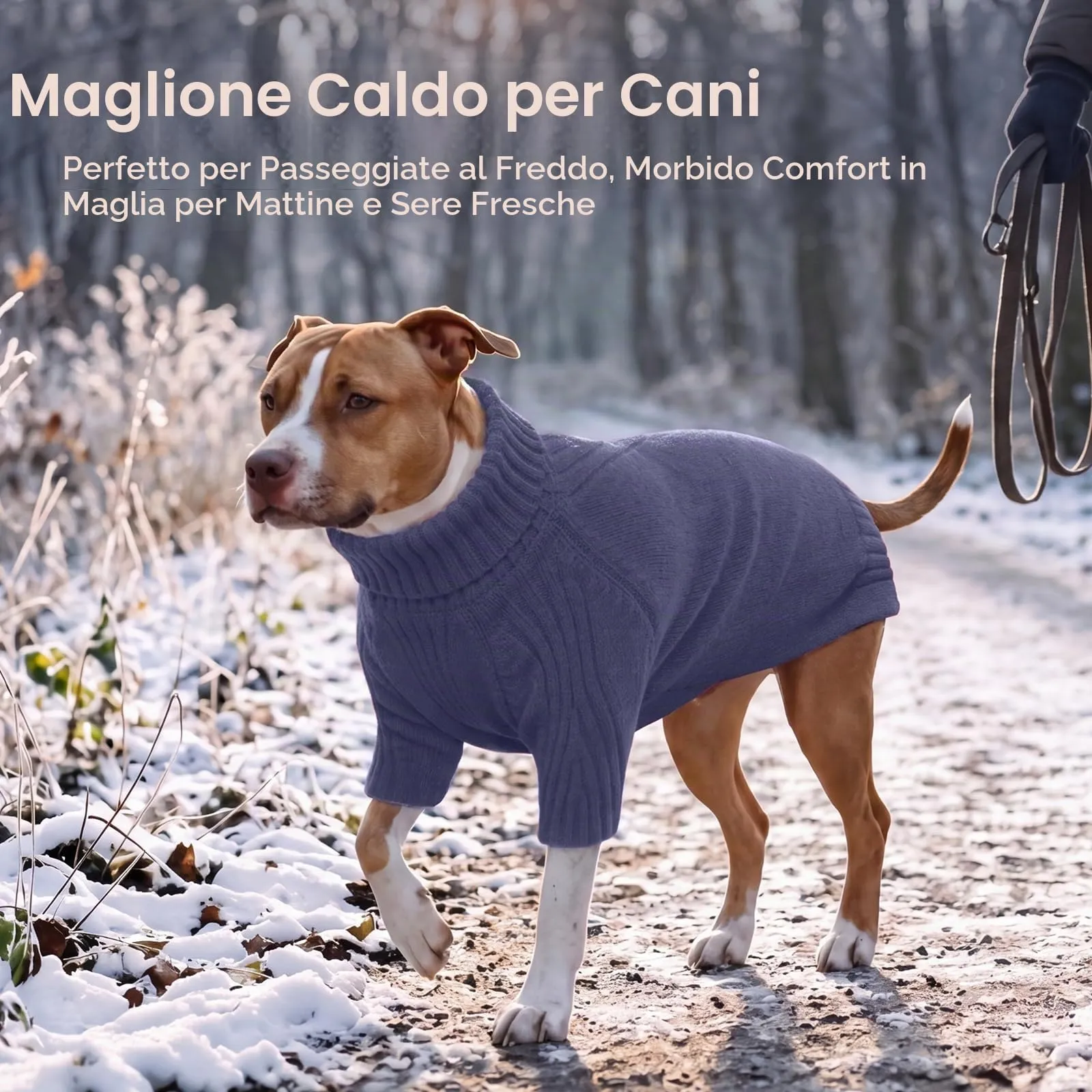 IECOii Maglione dolcevita invernale per cani e gatti - immagine 5
