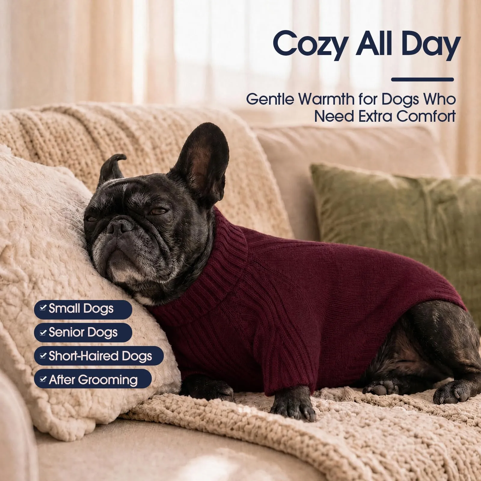 IECOii Maglione a Collo Alto per Cani, Taglia M, Vino Rosso - immagine 4