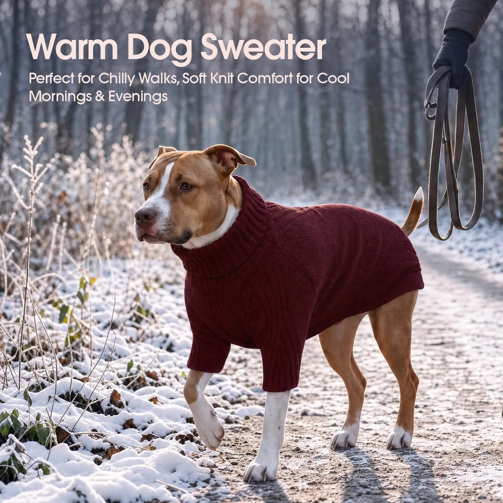 IECOii Maglione a Collo Alto per Cani, Taglia M, Vino Rosso - immagine 5