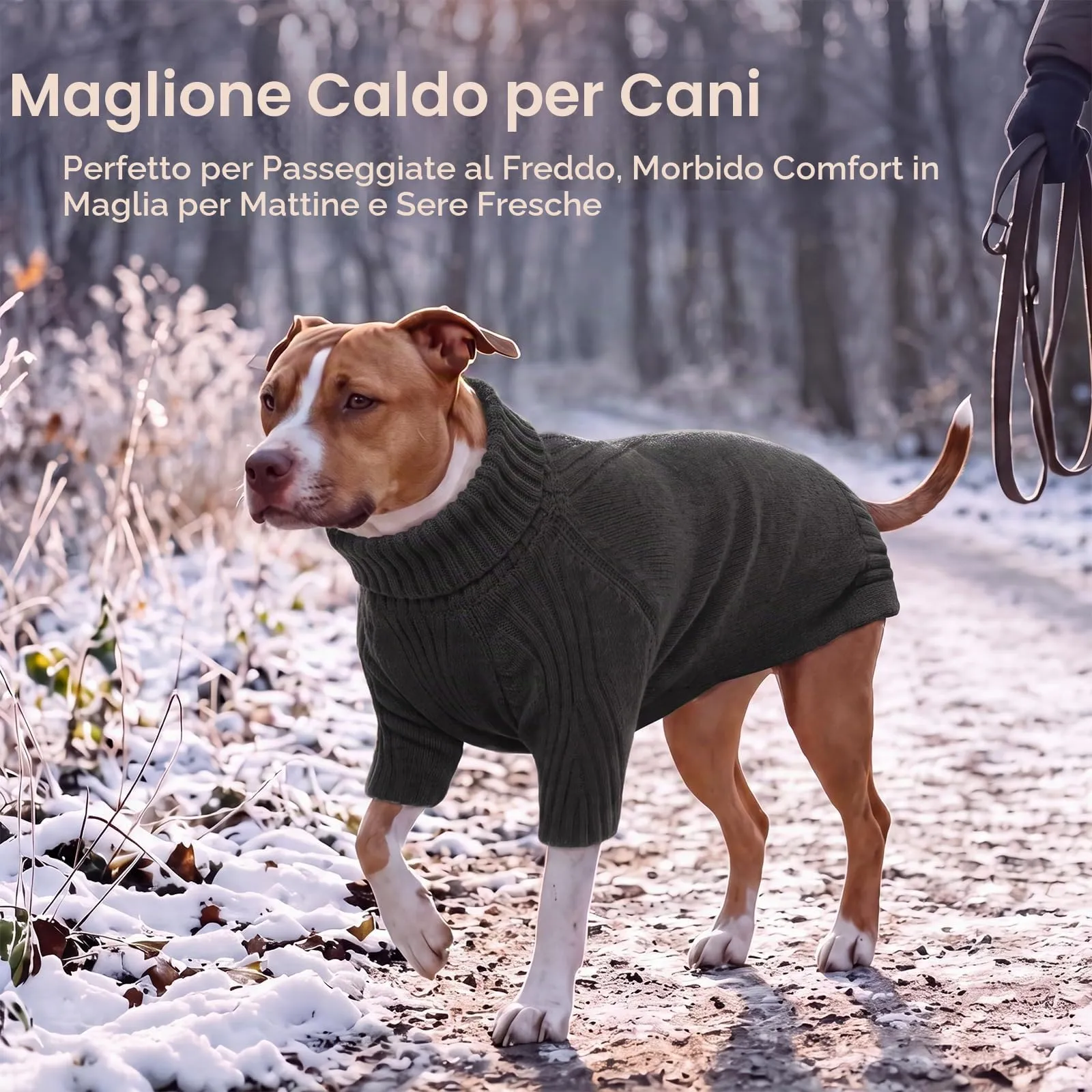 IECOii Maglione invernale per cani, grigio, taglia XL - immagine 5