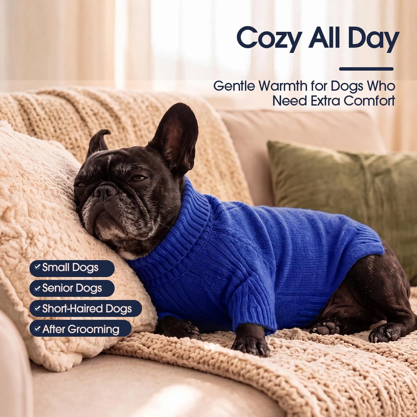 IECOii Maglione a collo di tartaruga per cani, RoyalBlue, M - immagine 4