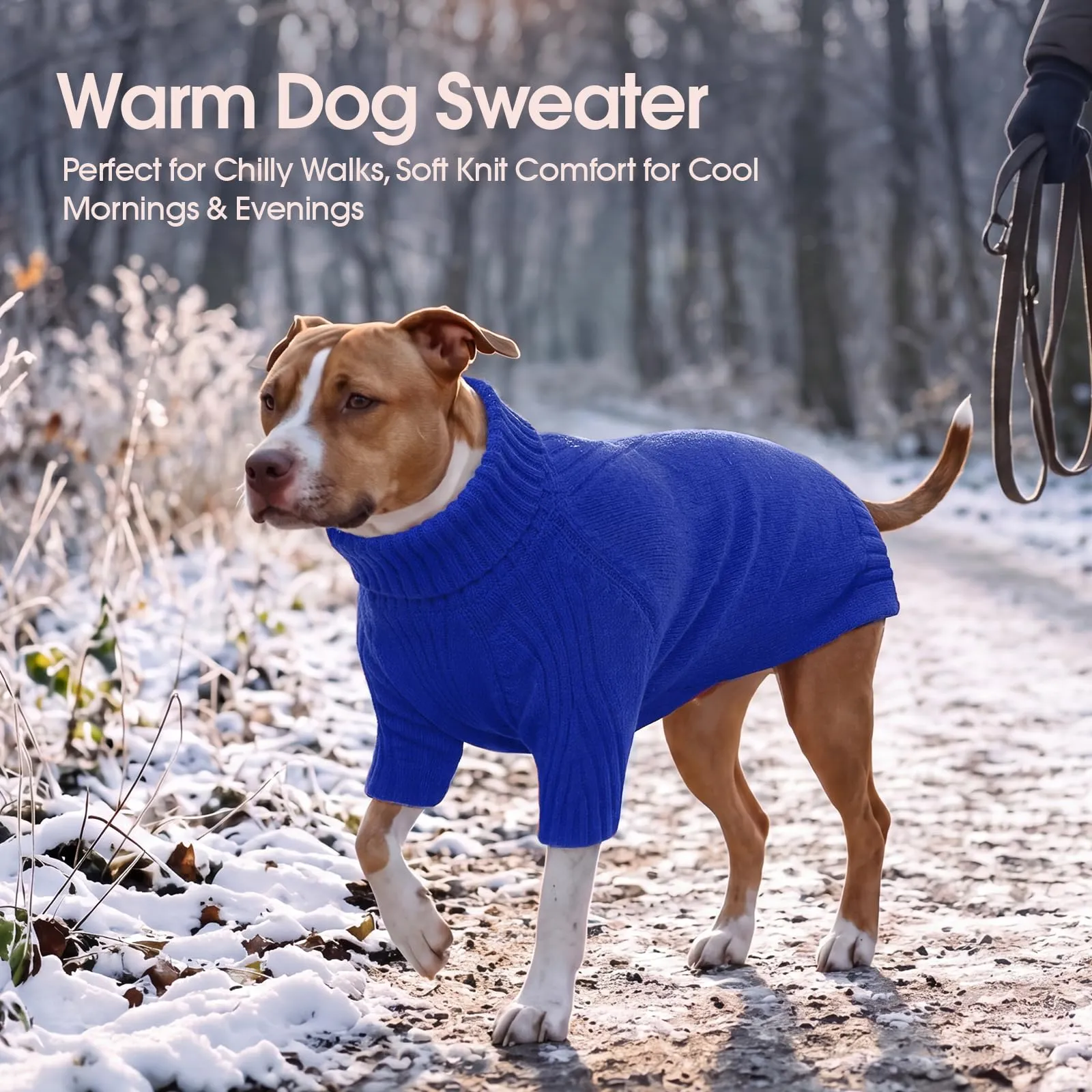 IECOii Maglione a collo di tartaruga per cani, RoyalBlue, M - immagine 5