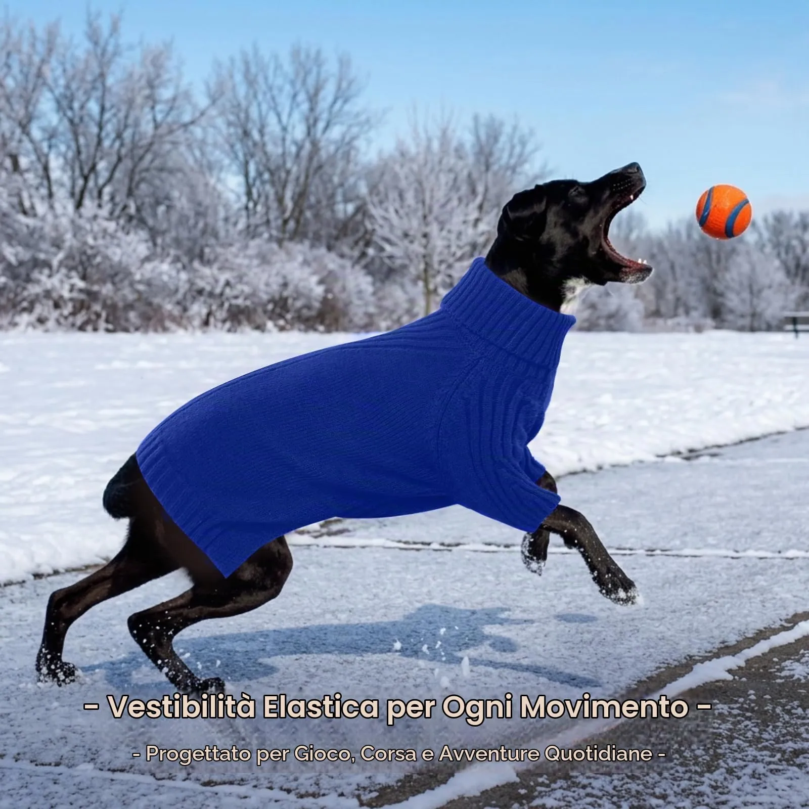 IECOii Maglione a collo di tartaruga per cani, Royal Blue, 5XL - immagine 6