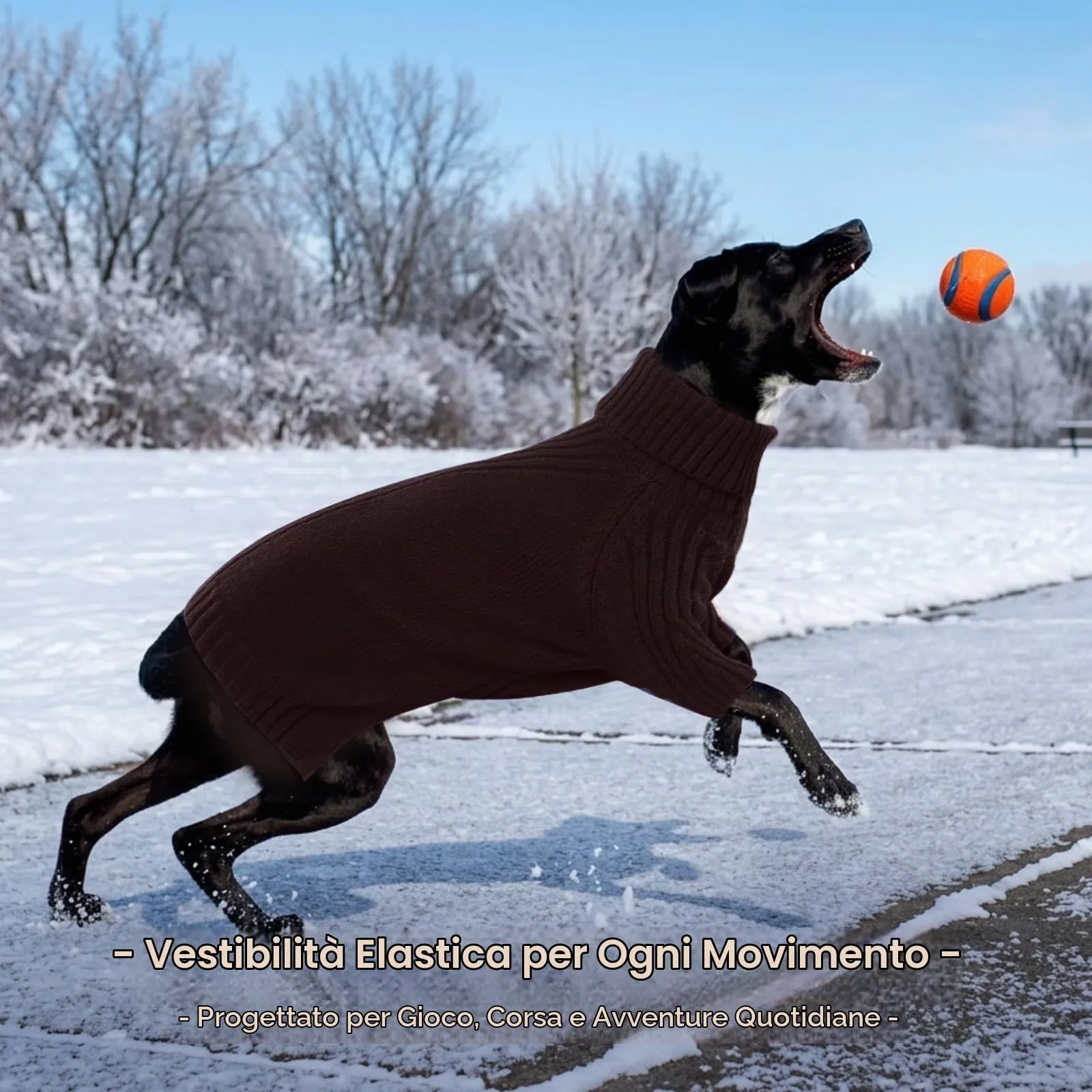 IECOii Maglione a Collo di Tartaruga per Cani, Marrone, L - immagine 6
