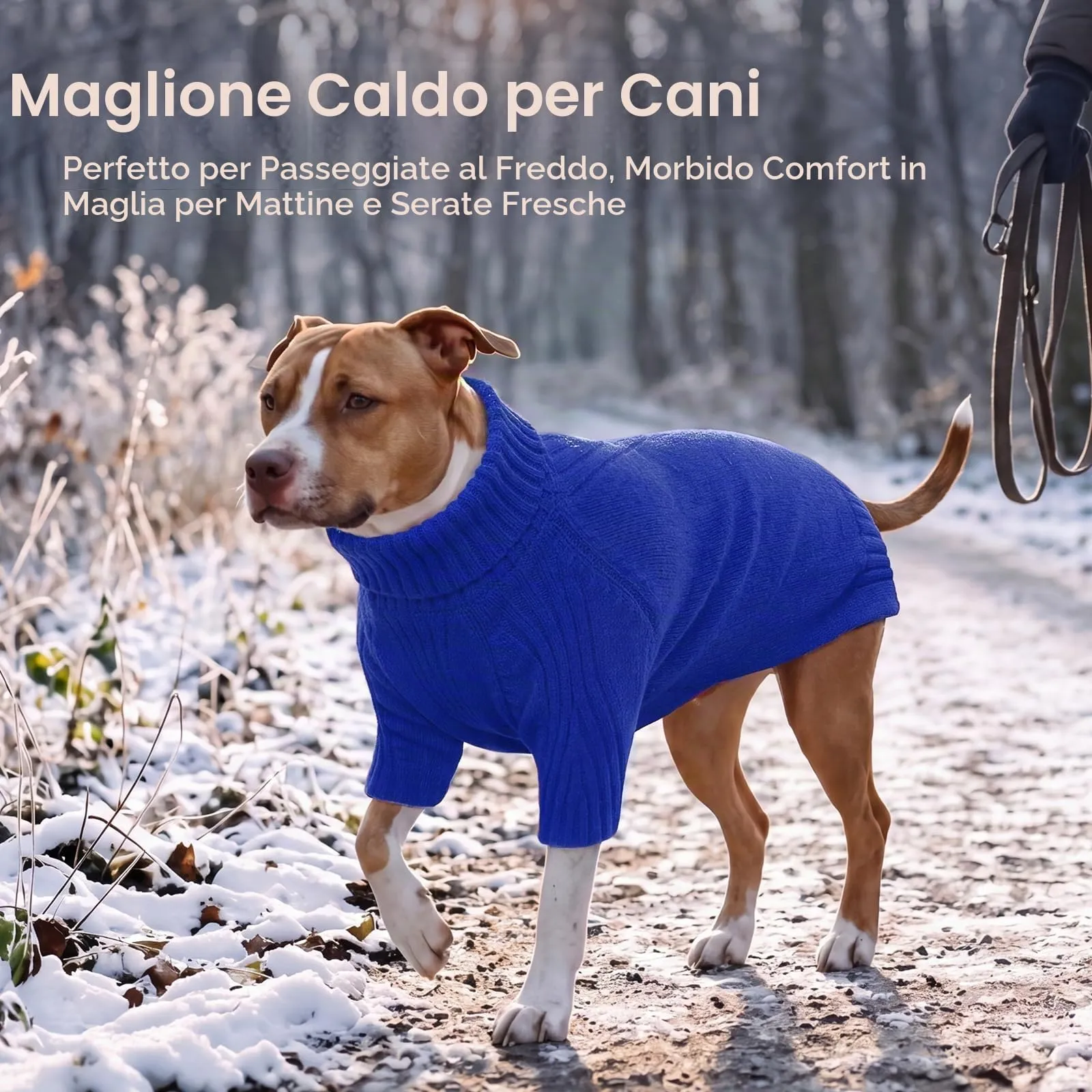 IECOii Maglione a collo di tartaruga per cani grandi, Royal Blue, 3XL - immagine 5