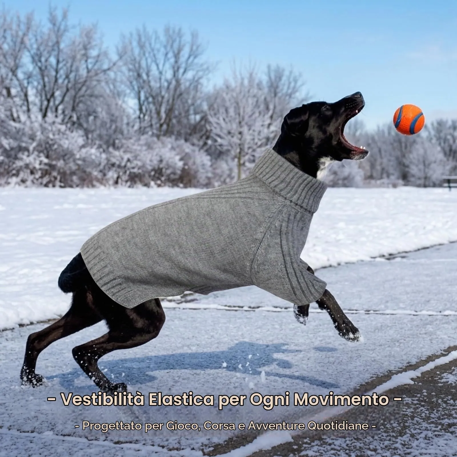 IECOii Maglione a Collo Alto per Cani, 4XL, Grigio - immagine 6