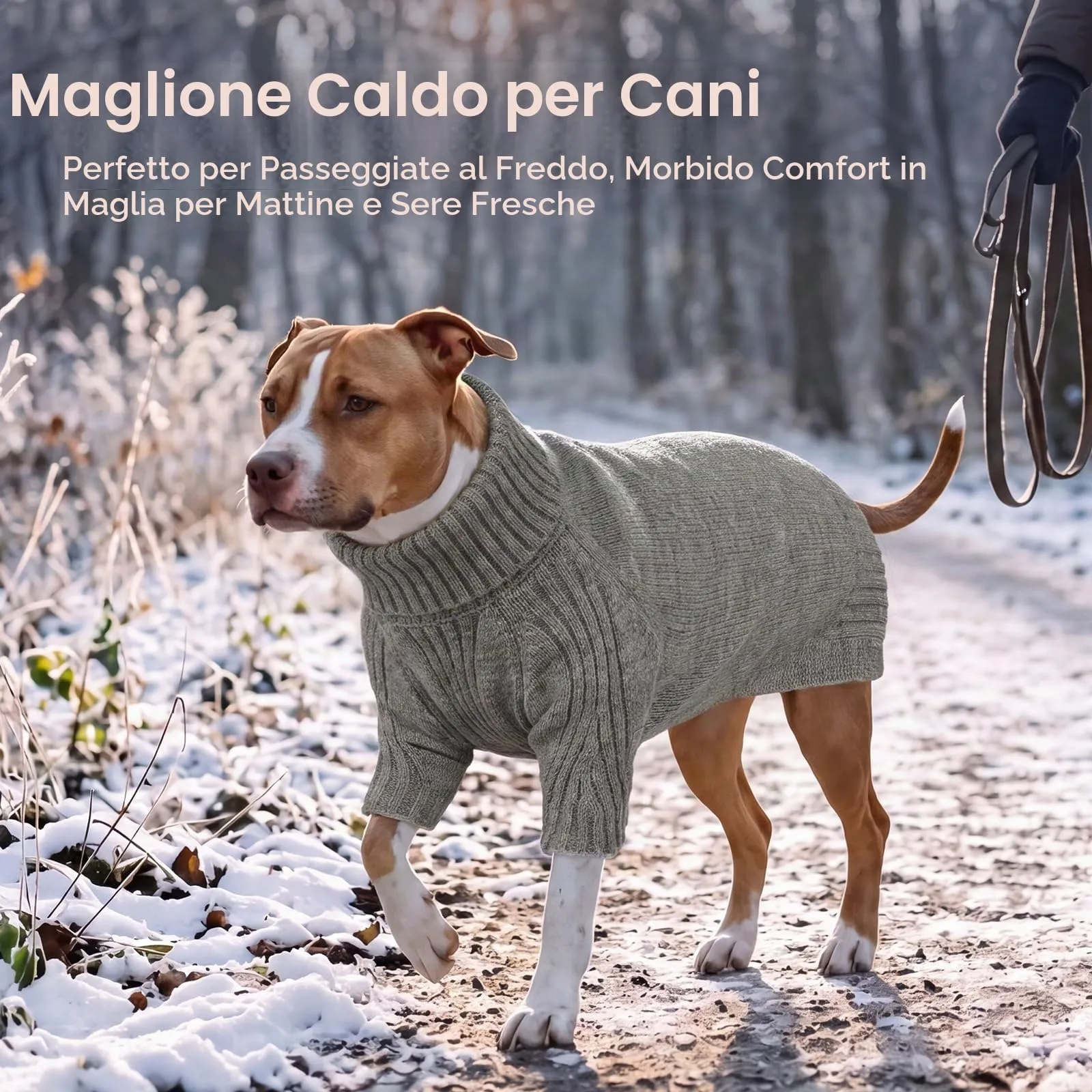 IECOii Maglione Invernale per Cani a Collo Alto, XL, Grigio - immagine 5