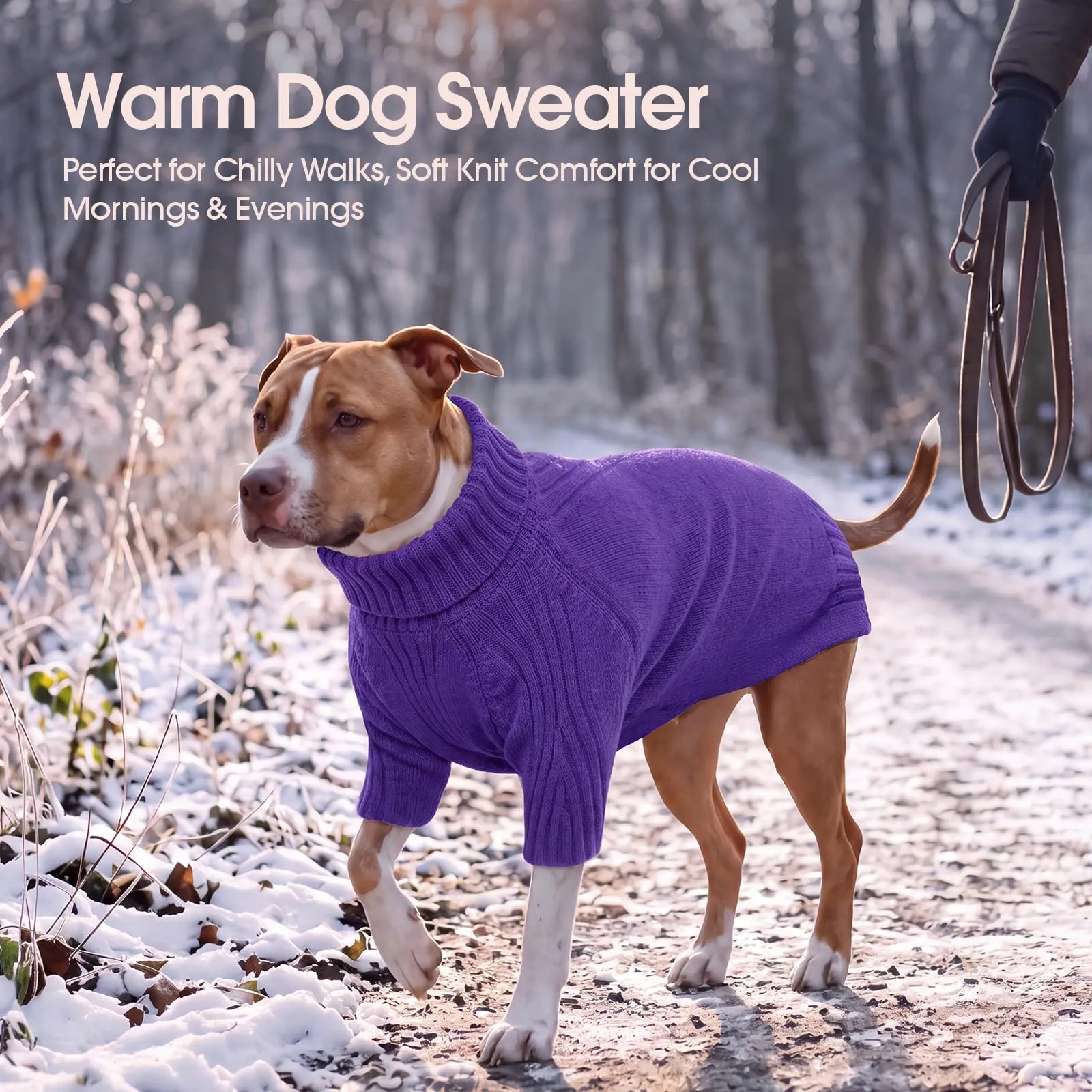 IECOii Maglione Termico a Collo Alto per Cani, Taglia XXL, Viola Scuro - immagine 5