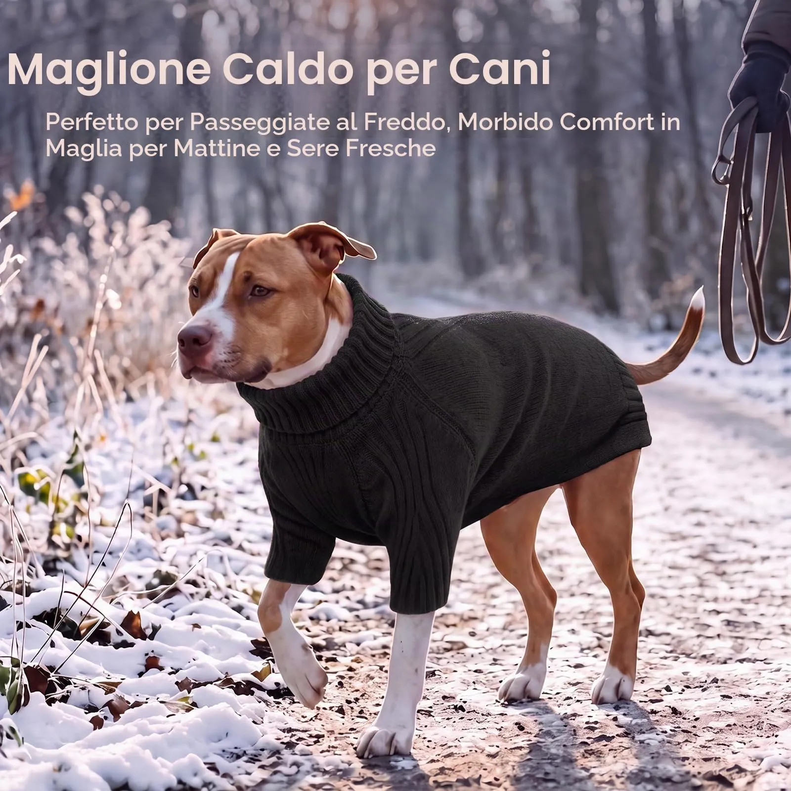 IECOii Maglione per Cani Razza Gigante, Collo Alto, Lavabile in Lavatrice, Nero, 5XL - immagine 5