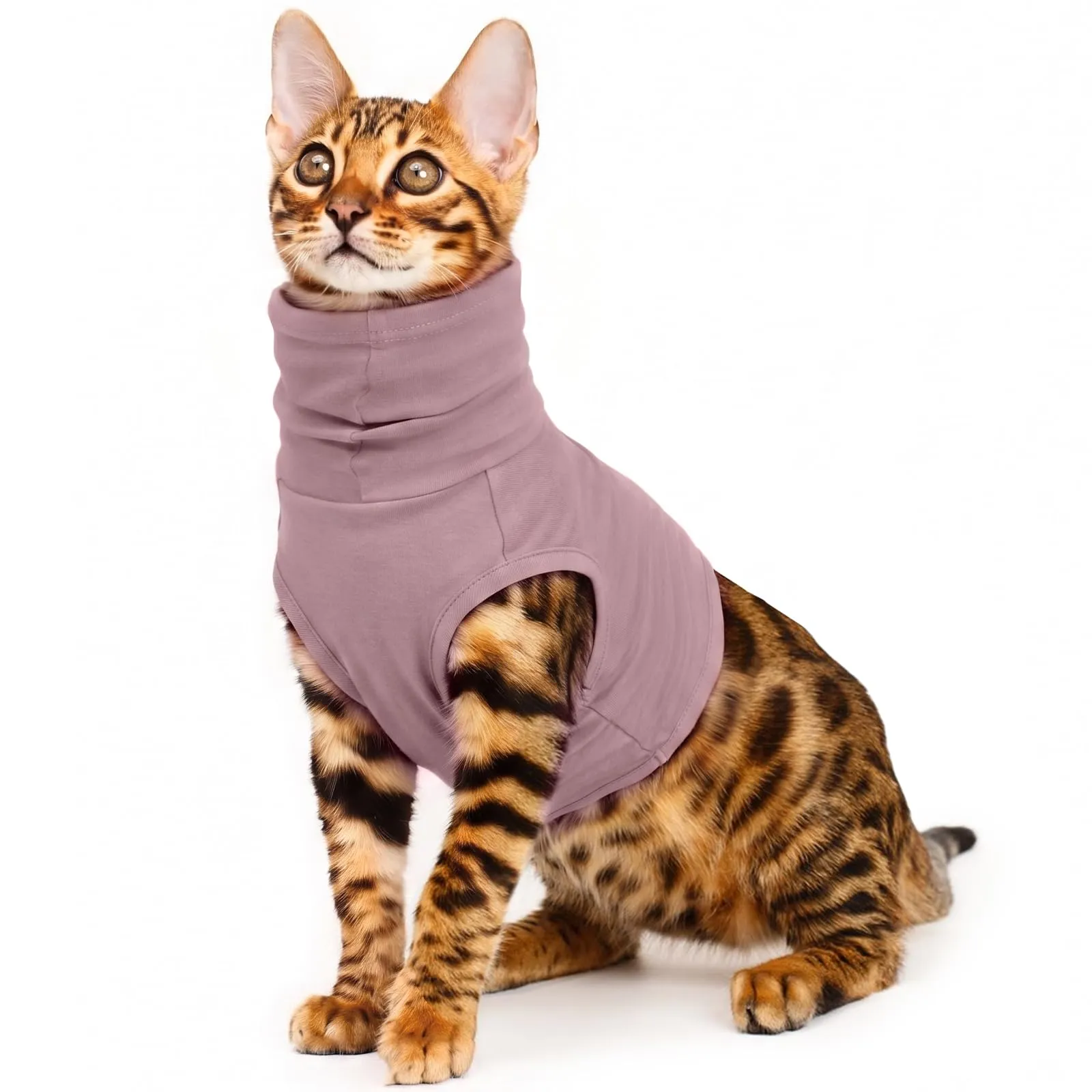 PUMYPOREITY Cane Snood, Viola, Cotone, Collo e Orecchie, XS - immagine 1