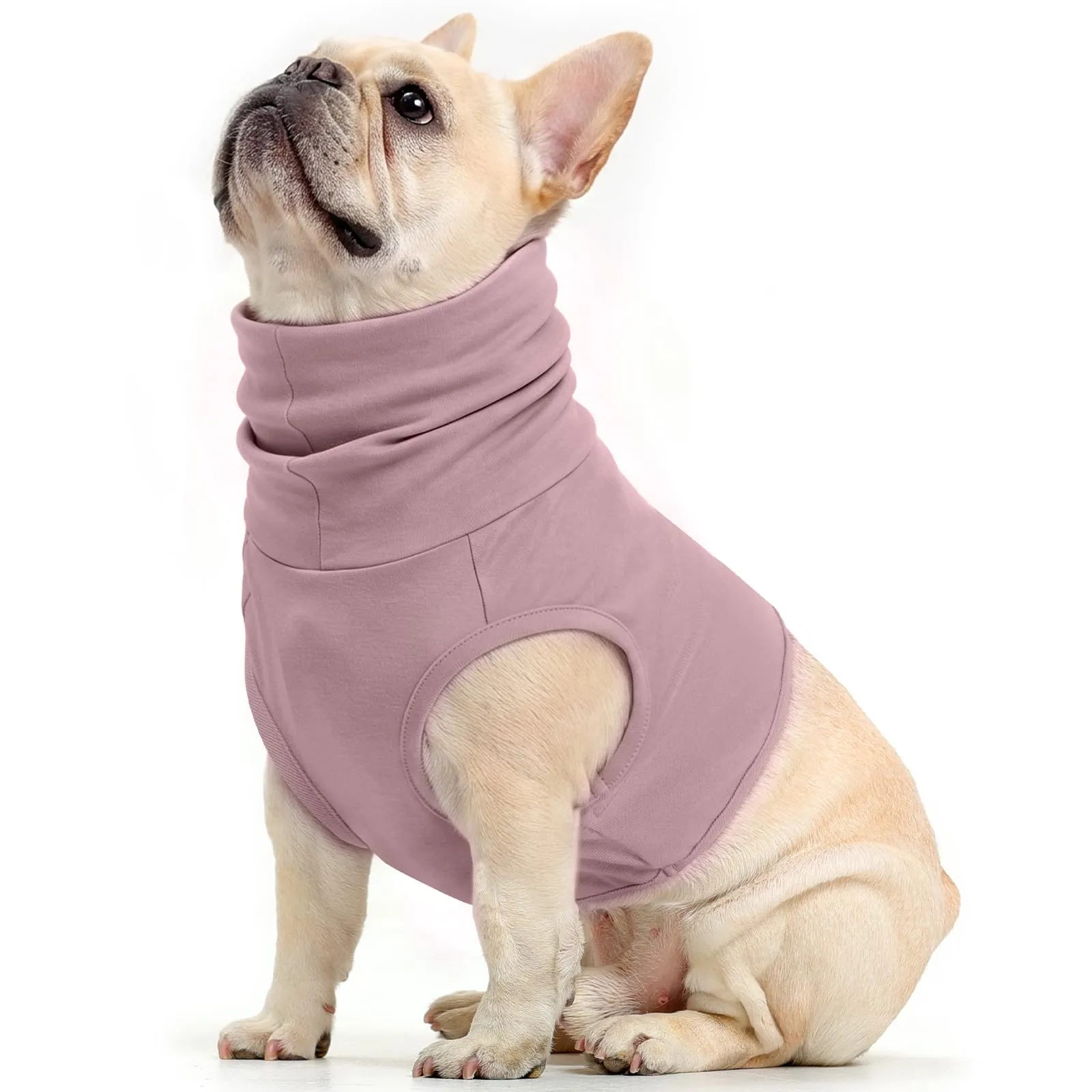 PUMYPOREITY Body Post Operatorio Cane, Maglietta Protezione Orecchie e Collo Chirurgico (Viola, M) - immagine 1