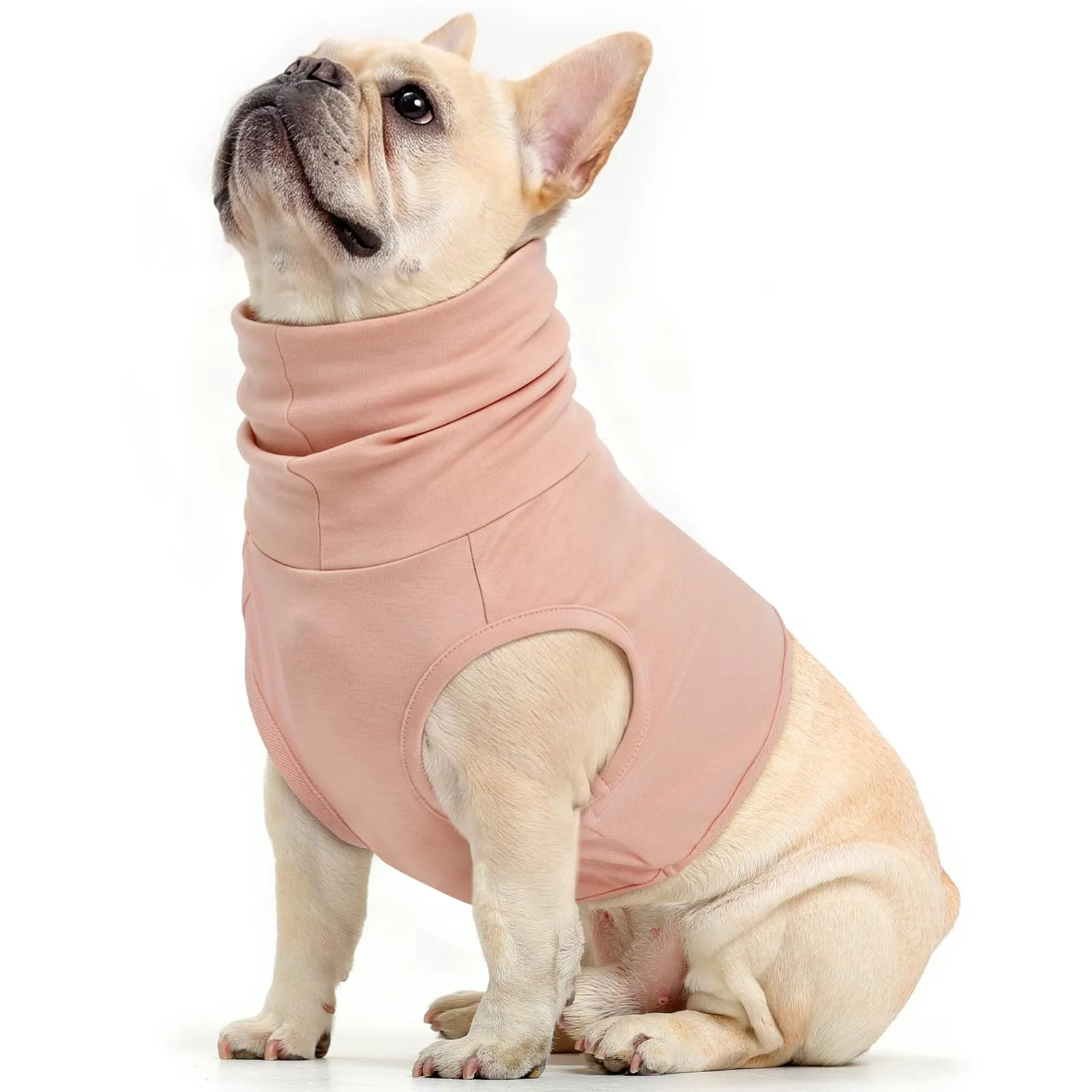 PUMYPOREITY Body Post Operatorio per Cani, Maglietta Protezione Orecchie e Collo, Rosa Carne, L - immagine 1