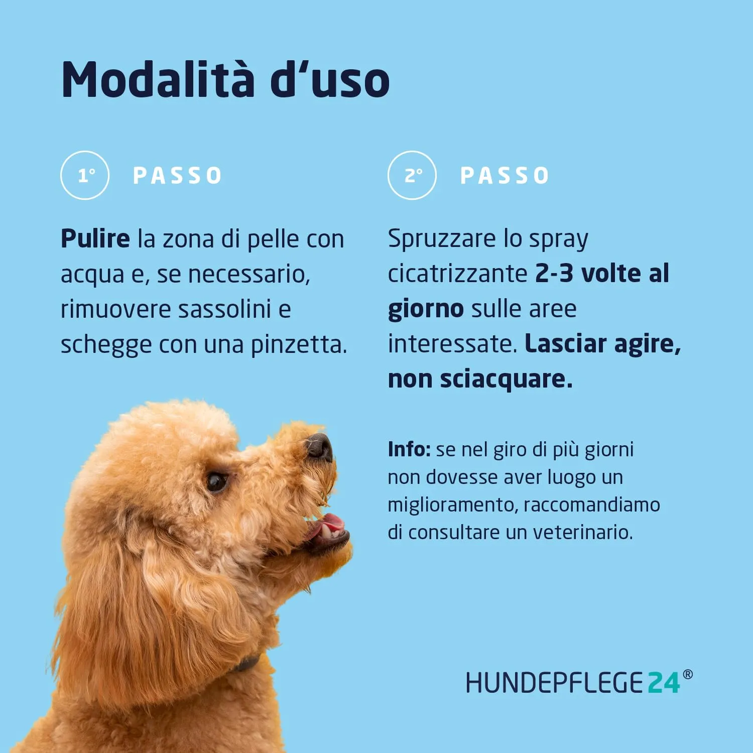 Hundepflege24 Spray cicatrizzante per Cani, 125ml - immagine 4