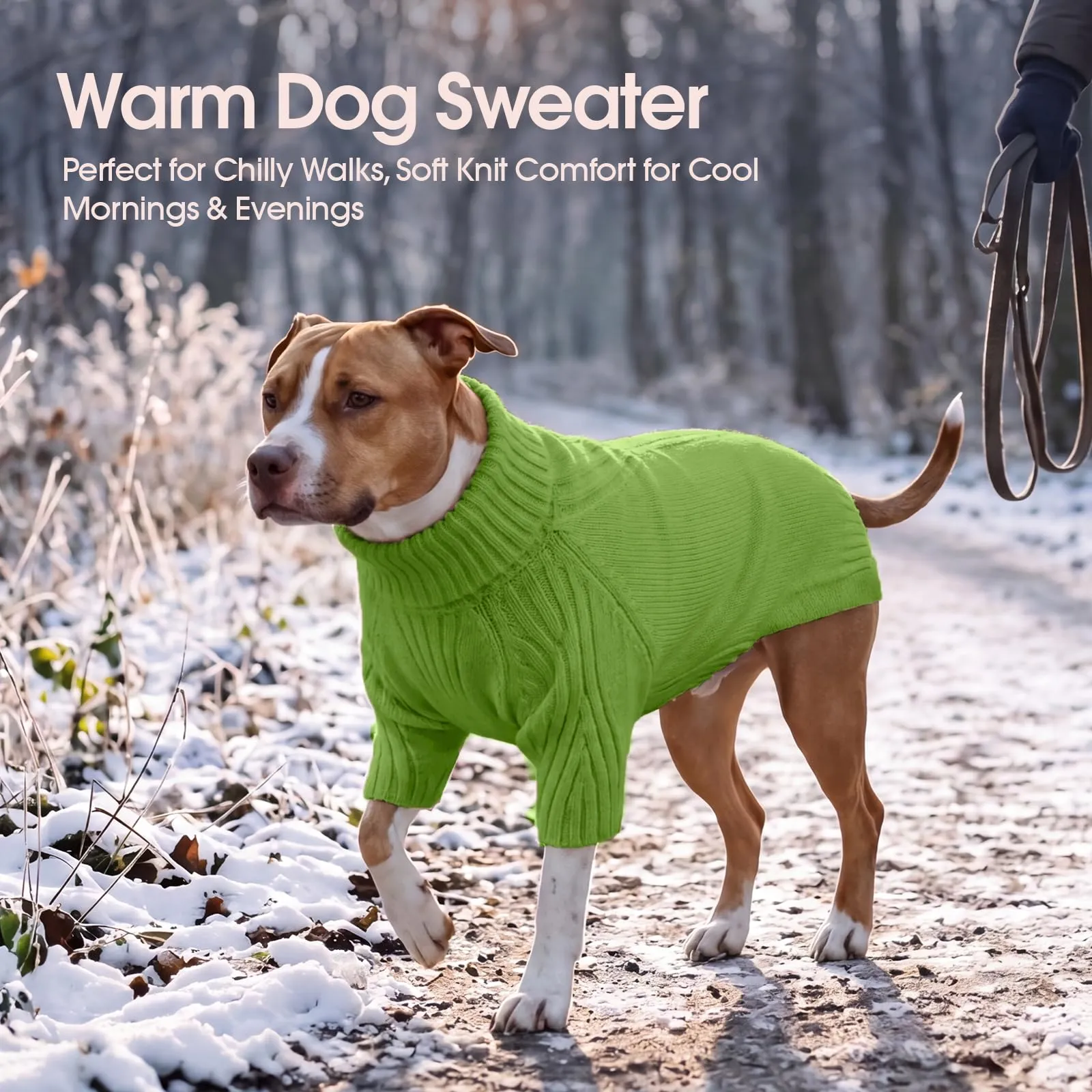 IECOii Maglione invernale a collo alto per cani, Taglia XL, Verde erba - immagine 5