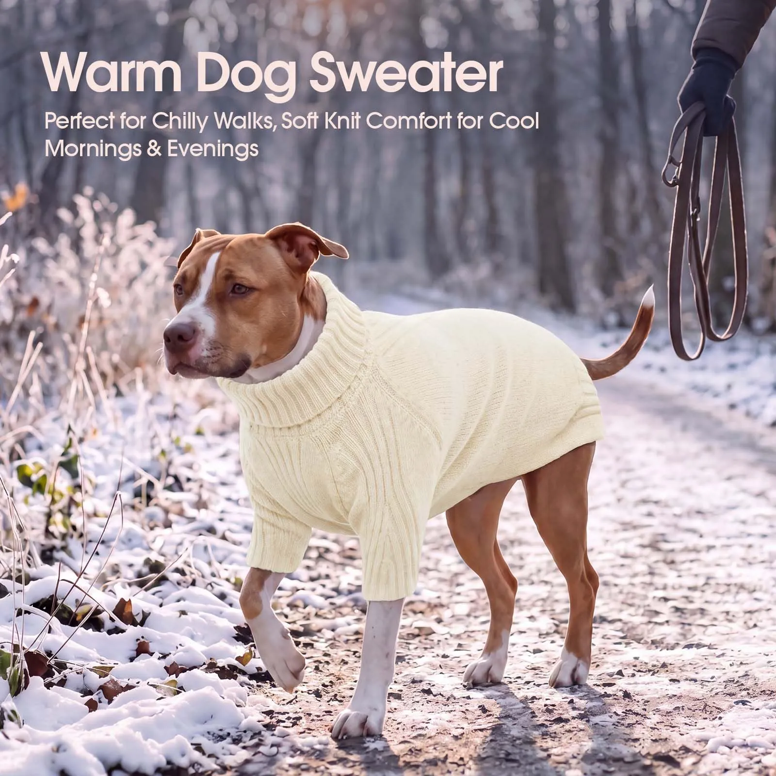 IECOii Maglione a Collo Alto per Cani di Razza Gigante, 5XL, Bianco - immagine 5