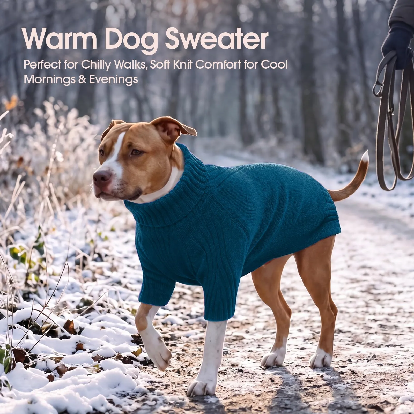 IECOii Maglione a Collo Alto per Cani di Taglia Piccola e Media, Blu Pavone, Taglia M - immagine 5