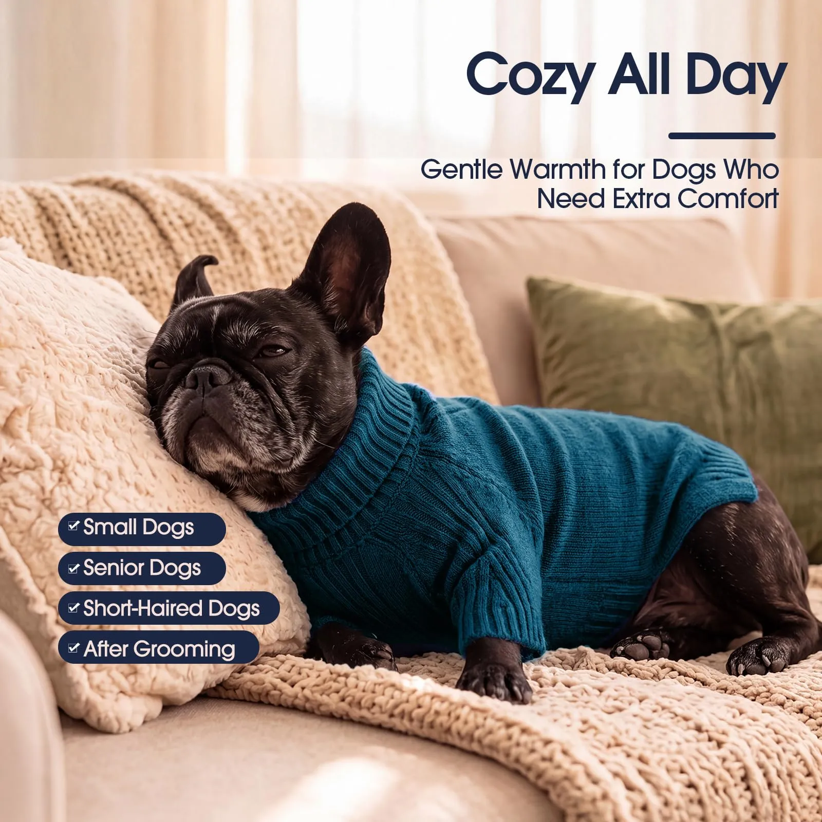 IECOii Maglione Invernale per Cani XL, Pullover Morbido con Dolcevita, Blu Pavone - immagine 4