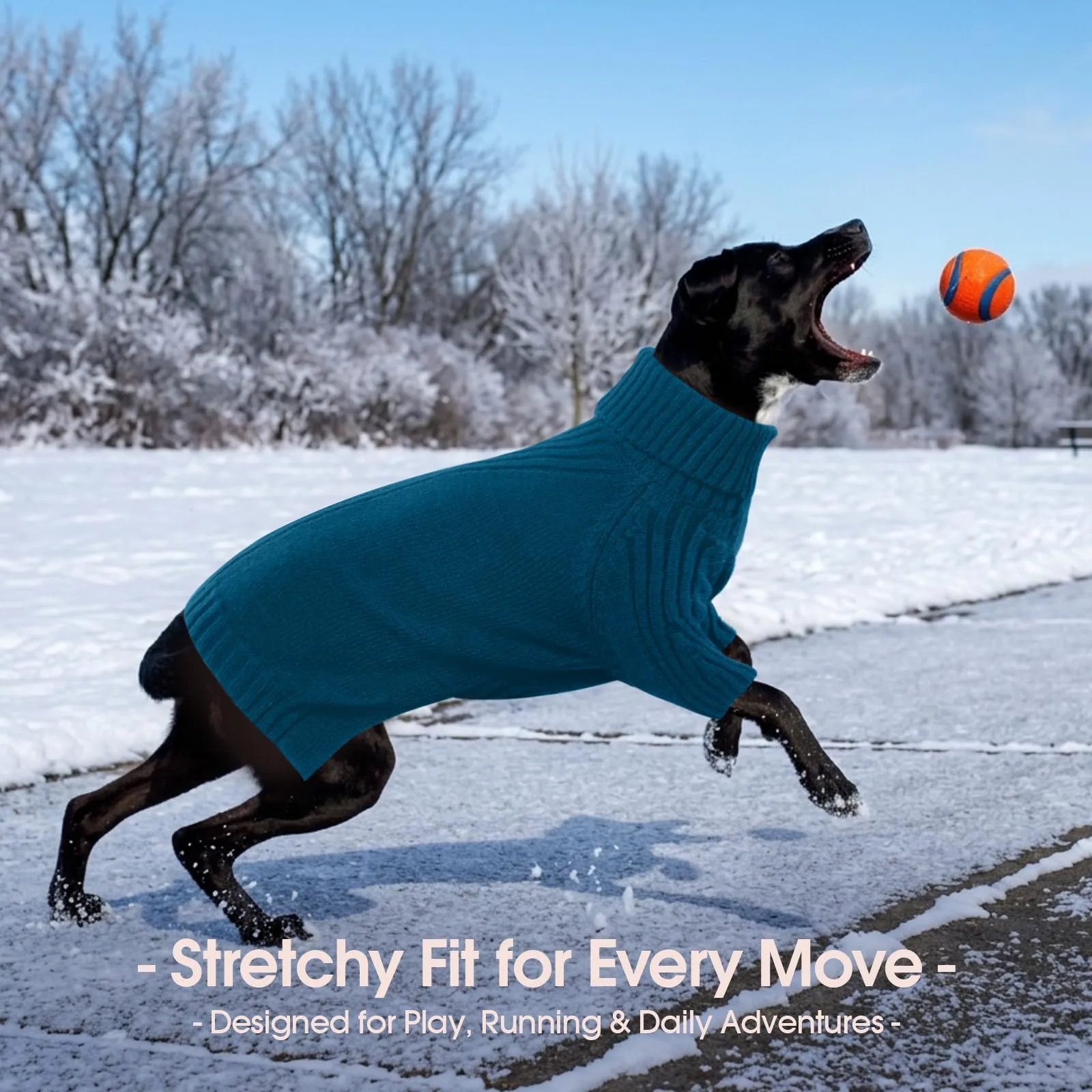 IECOii Maglione Invernale per Cani XL, Pullover Morbido con Dolcevita, Blu Pavone - immagine 6