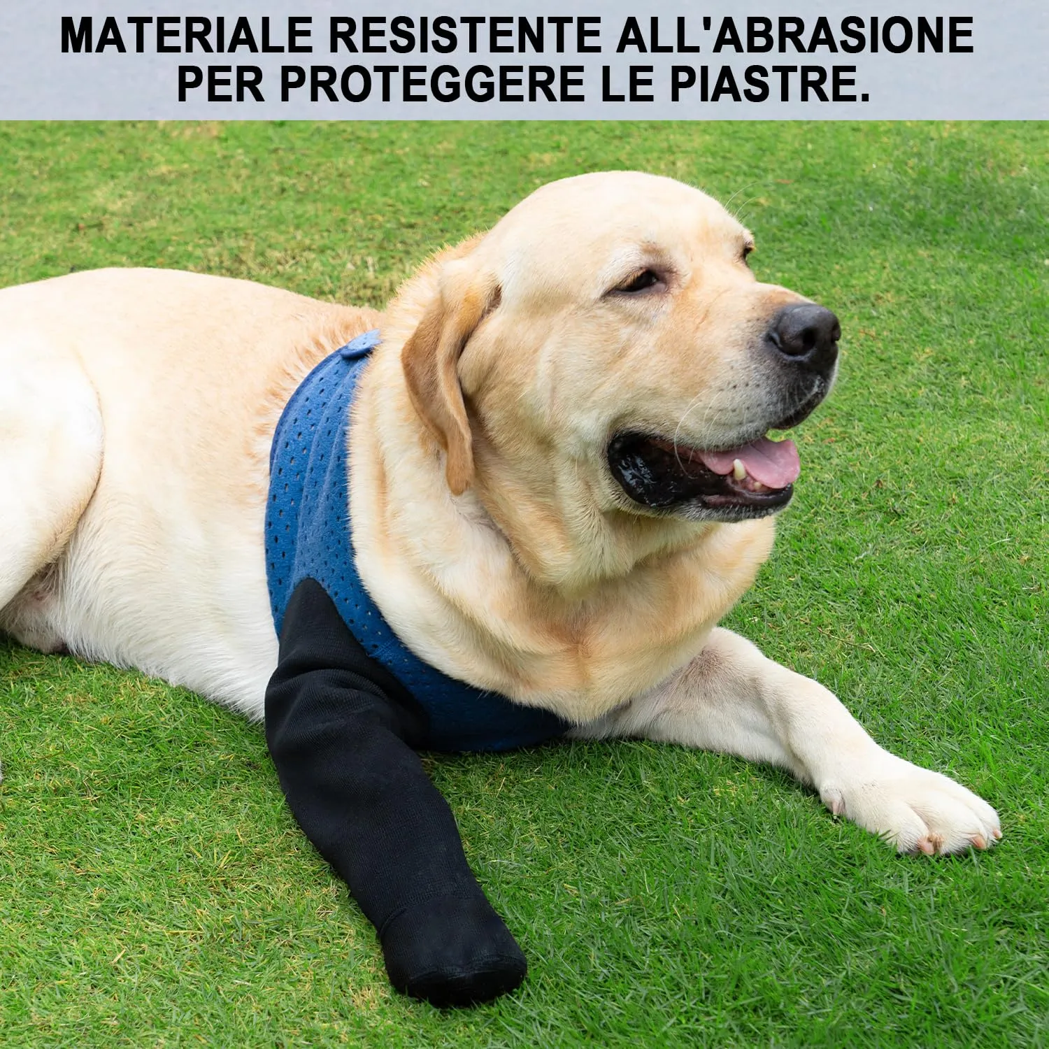 COODEO Calzini Protettivi per Cani Antileccatura con Suola Antiscivolo, Impermeabili (Blu, L_Destra) - immagine 7
