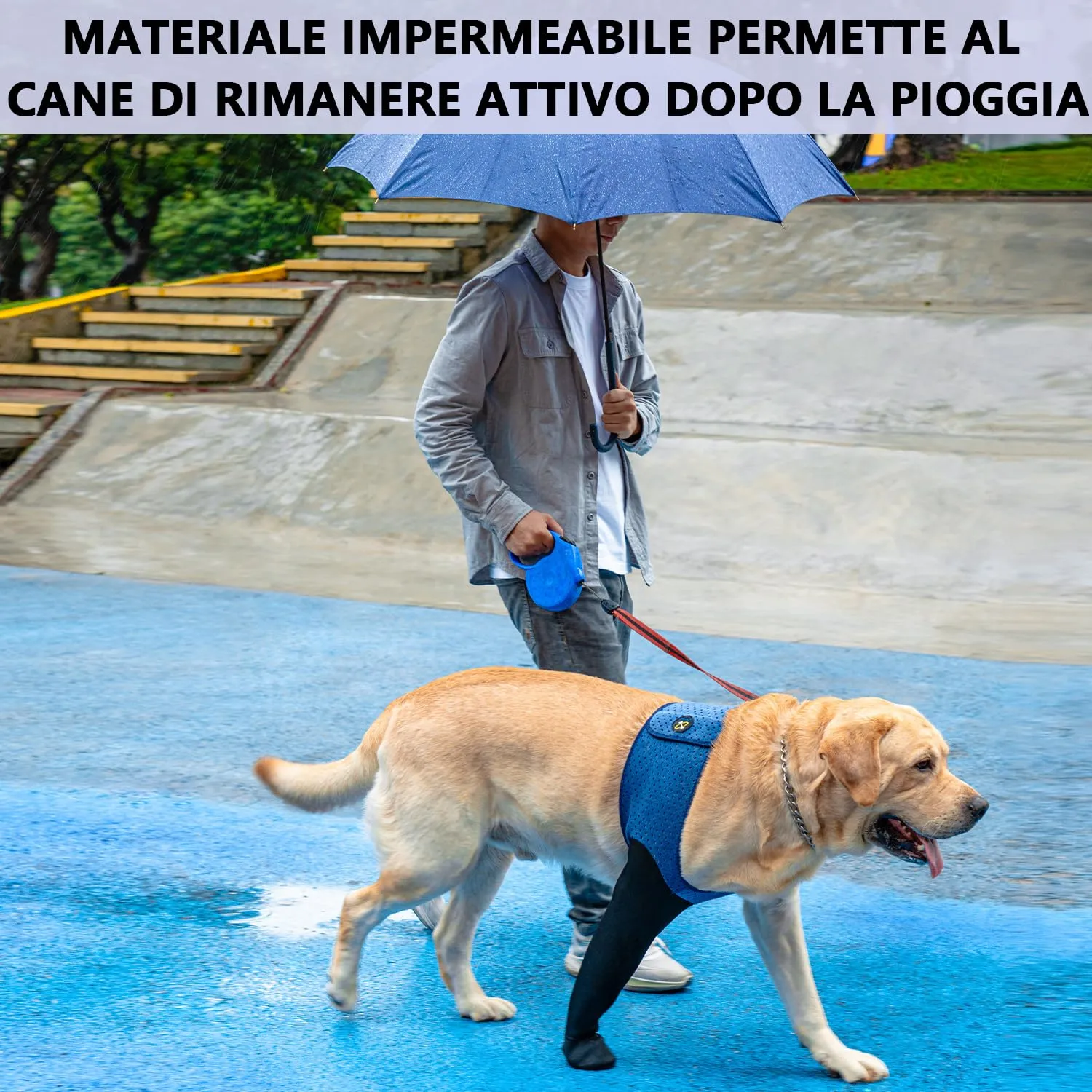 COODEO Calzini Protettivi per Cani Antileccatura con Suola Antiscivolo, Impermeabili (Blu, 2XL_Destra) - immagine 3