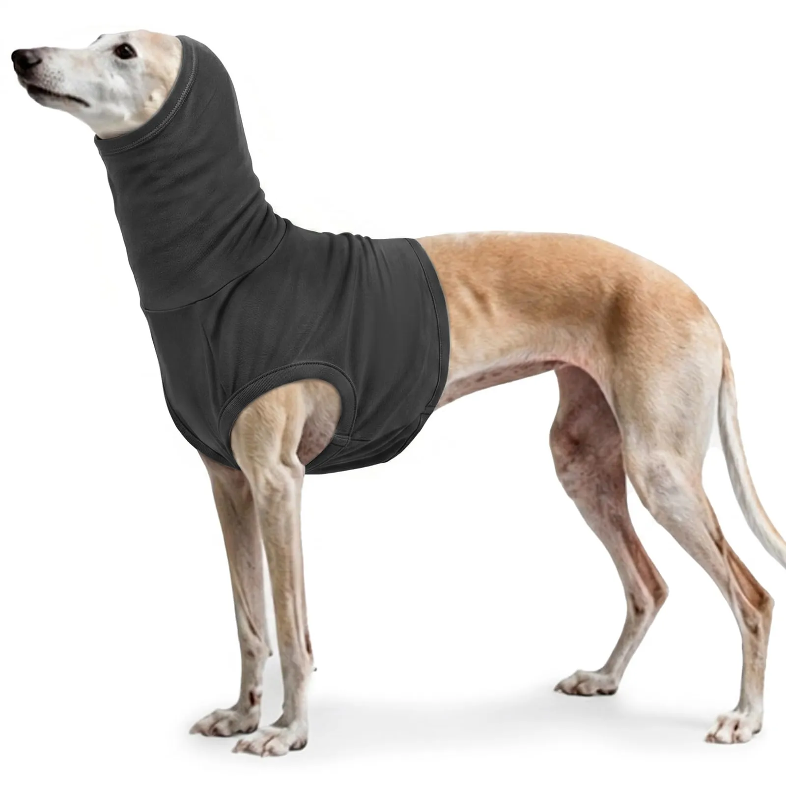 PUMYPOREITY Copri Orecchie e Collo per Cani, Tutina Post Operatoria e Protezione Ferite, Grigio, XL - immagine 1