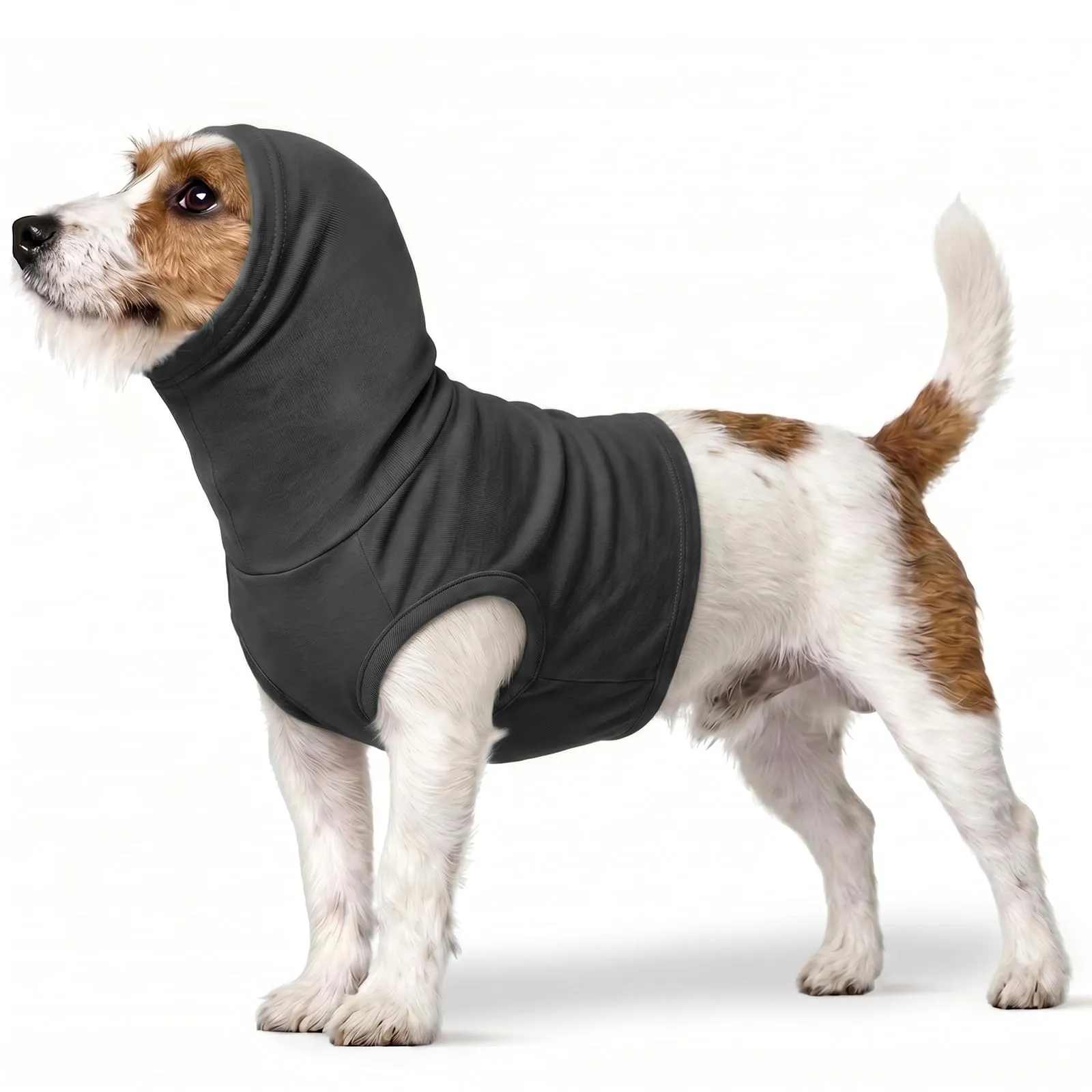 PUMYPOREITY Paraorecchie e Snood per Cani e Gatti, Copriorecchie Invernale e Fascia per Collo, Grigio, S - immagine 1
