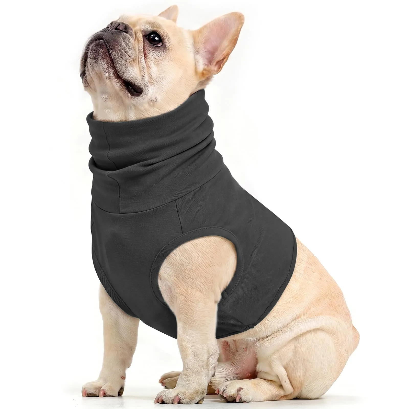 PUMYPOREITY Body Chirurgico per Cani Protezione Orecchie e Collo, Grigio, M - immagine 1