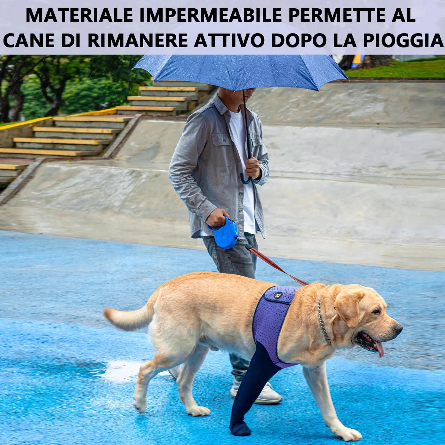 COODEO Calzini Protettivi per Cani Antileccatura con Suola Antiscivolo, Impermeabili (Viola, L_Sinistra) - immagine 7