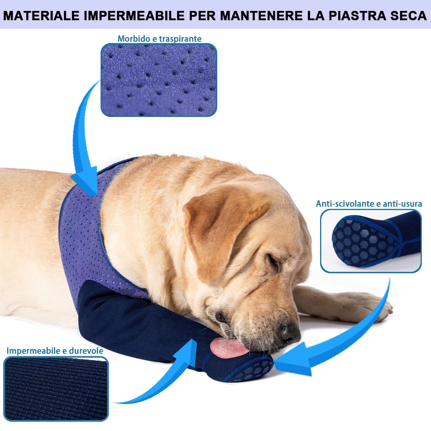 COODEO Calzini Protettivi Antileccatura per Cani con Suola Antiscivolo, Impermeabili (Viola, 3XL_Destra) - immagine 3