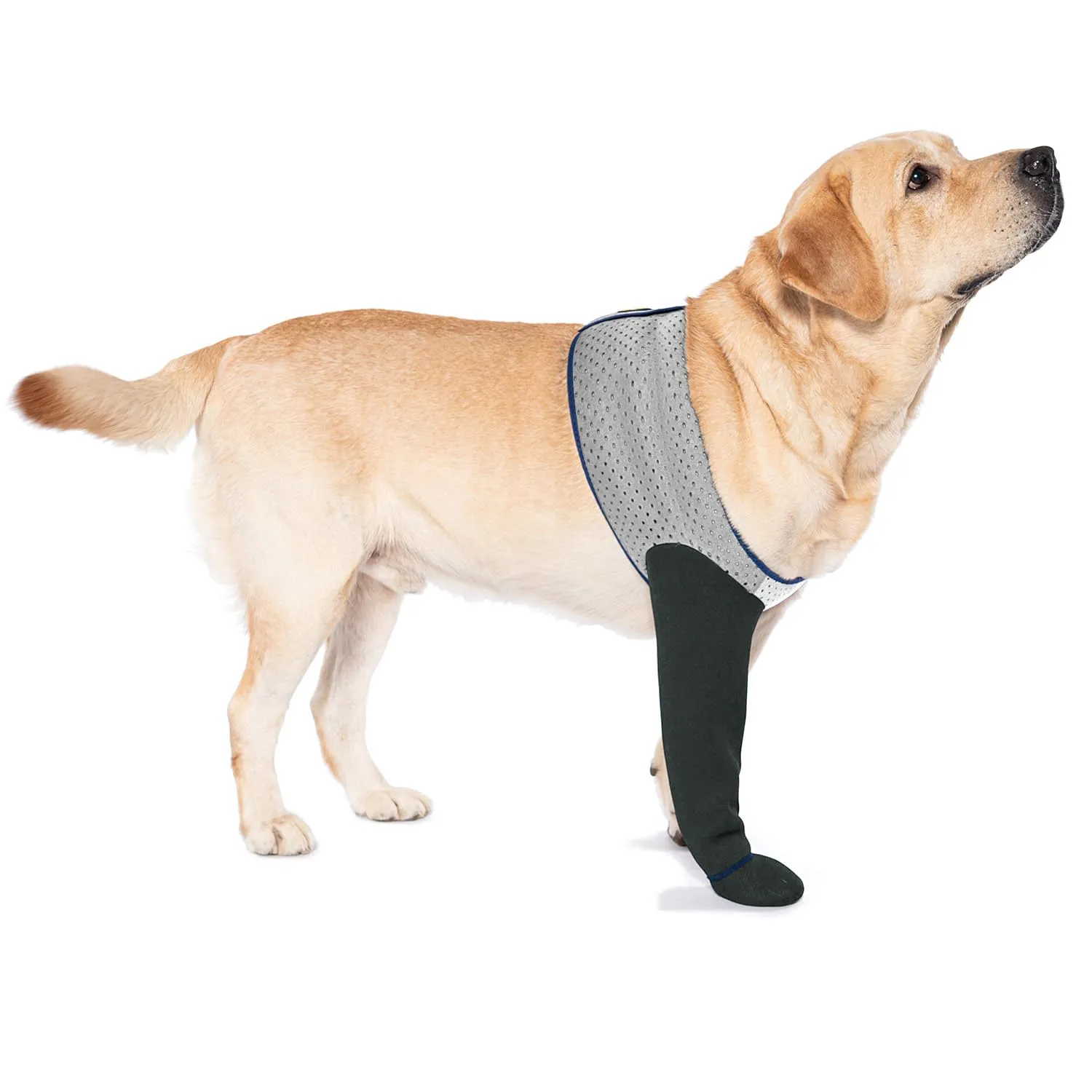 COODEO Calzini Protettivi per Cani Antileccatura con Suola Antiscivolo, Grigio, 3XL_Sinistra - immagine 1