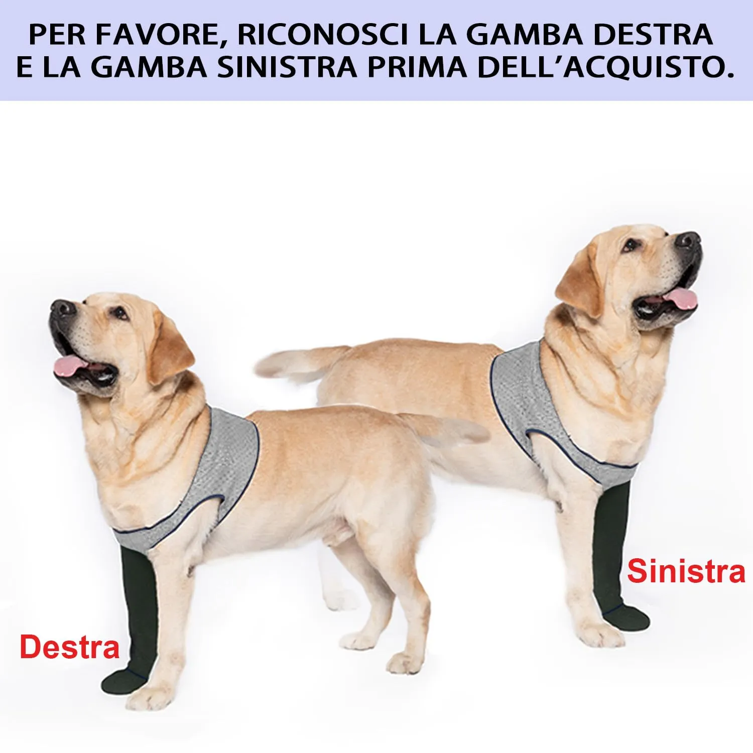 COODEO Calzini Protettivi per Cani Antileccatura con Suola Antiscivolo, Grigio, L_Destra - immagine 2