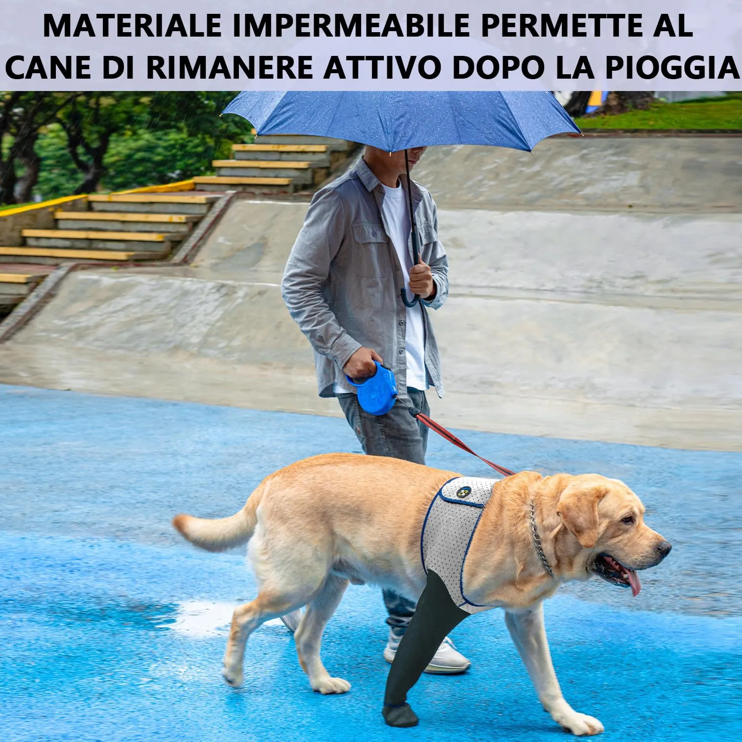 COODEO Calzini Protettivi per Cani Antileccatura con Suola Antiscivolo, Grigio, 2XL_Sinistra - immagine 7