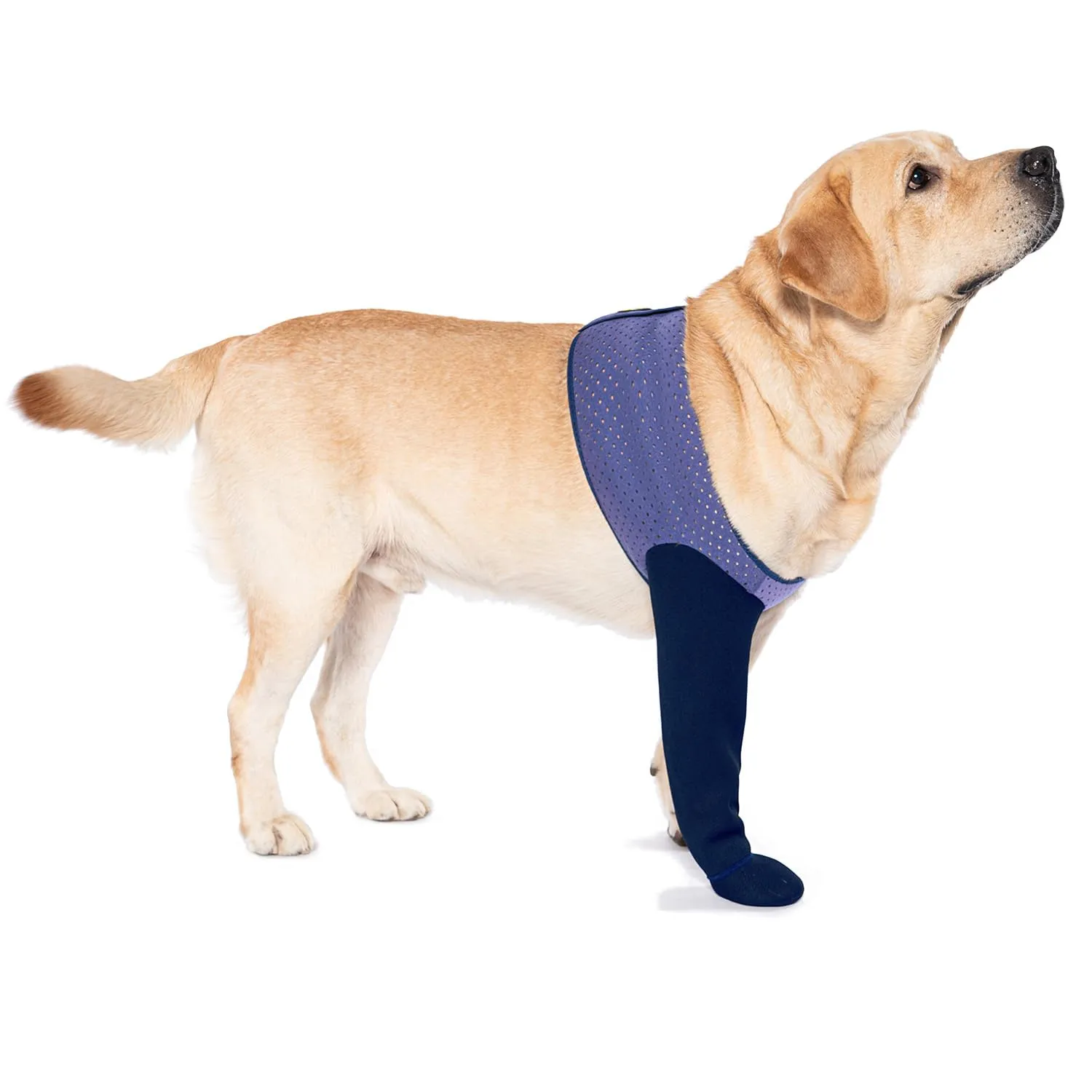 COODEO Calzini Protettivi per Cani Antileccatura con Suola Antiscivolo, Viola, M_Destra - immagine 1