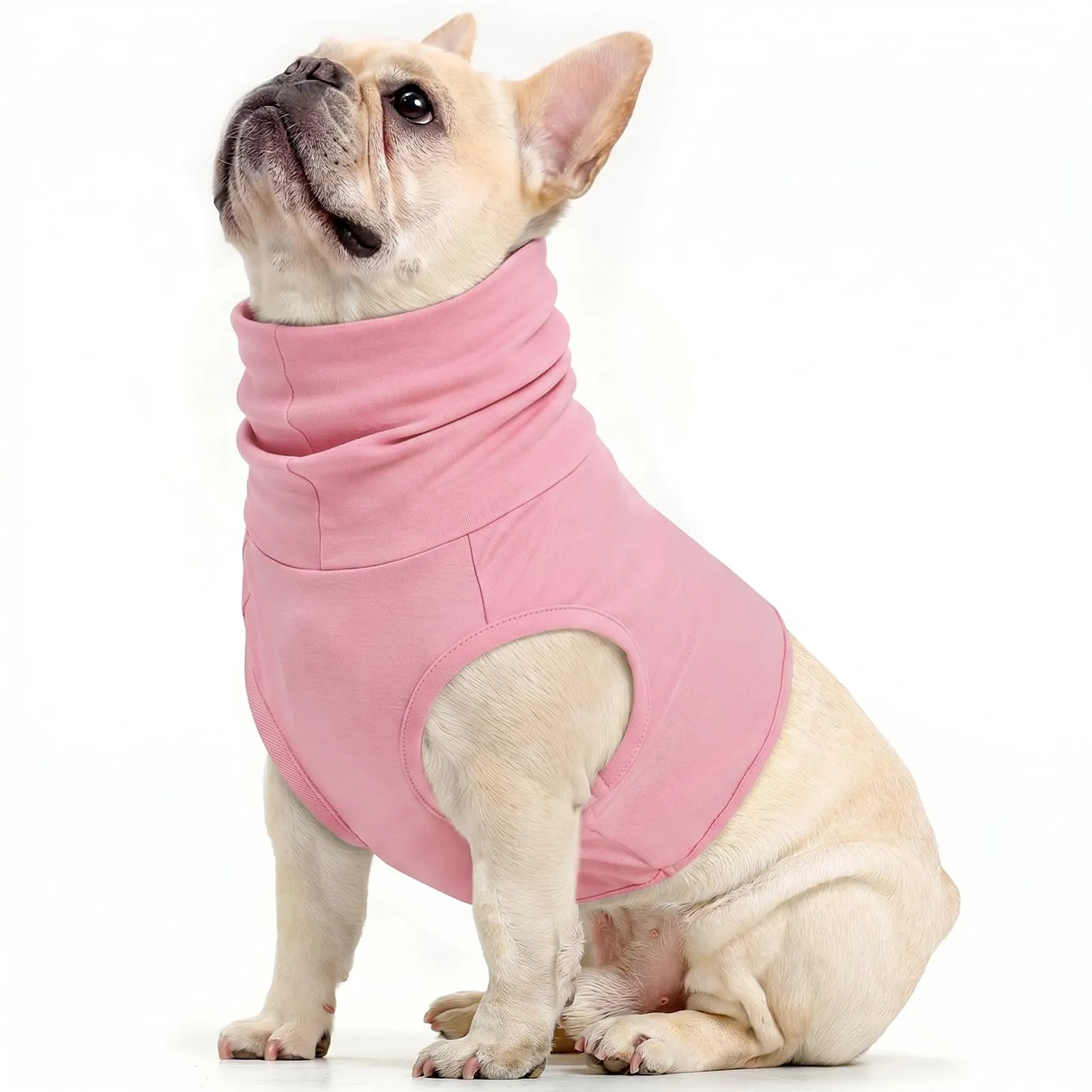 PUMYPOREITY Protezione per il collo e benda chirurgica per cani e gatti, Rosa Ciliegia, L - immagine 1