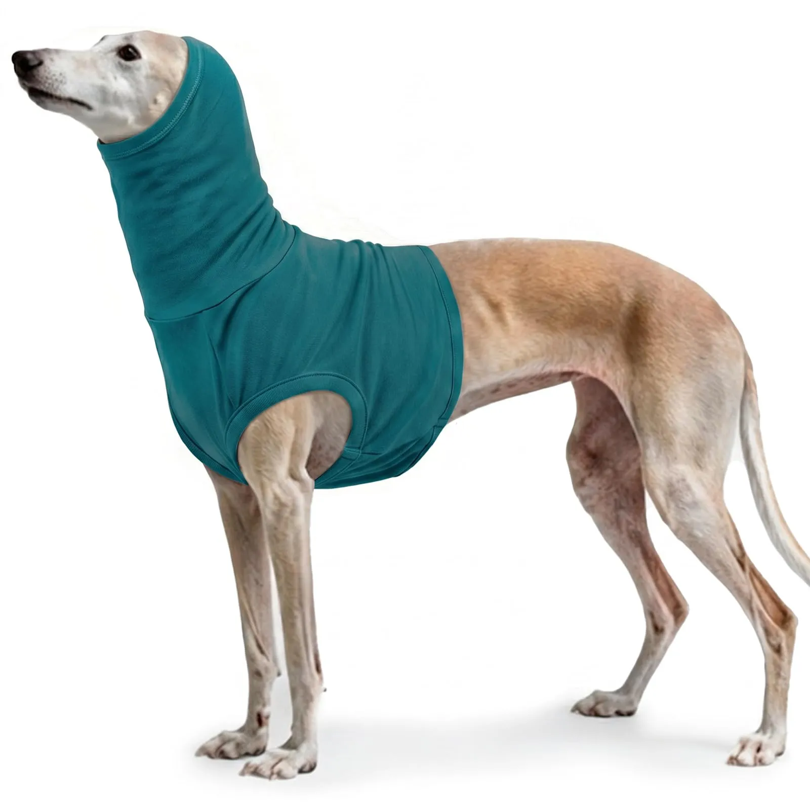 PUMYPOREITY Tuta per il recupero del collo per cani e gatti, gilet chirurgico con colletto alto e protezione orecchie, XL, Turchese - immagine 1
