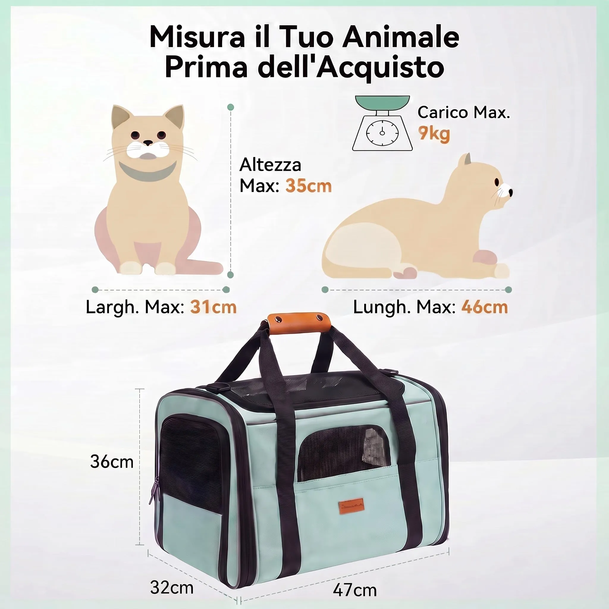 Morpilot Trasportino per cani e gatti, traspirante e pieghevole, con tracolla regolabile e materasso rimovibile, fino a 9 kg - immagine 6
